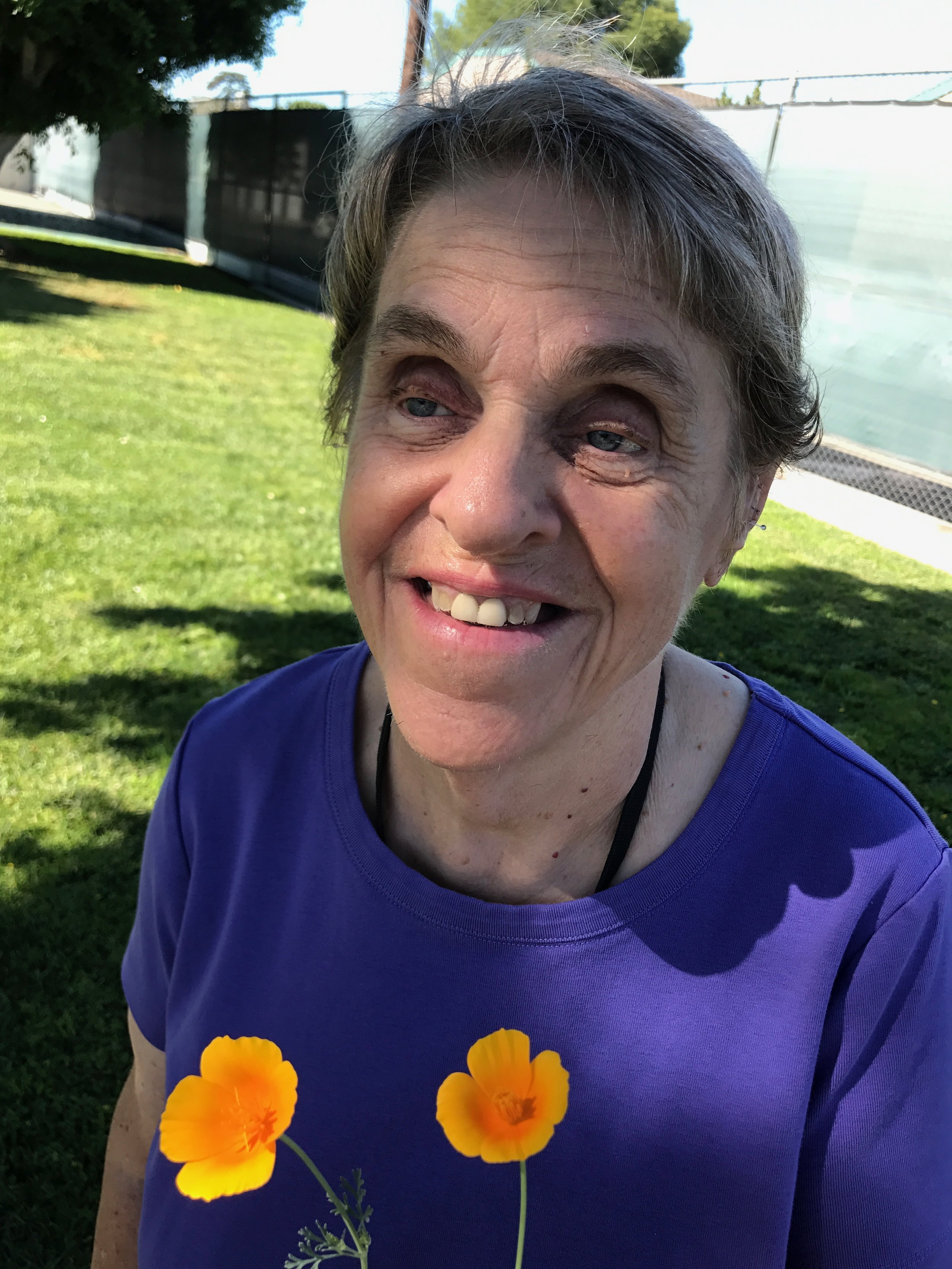 Learning about California Poppies
