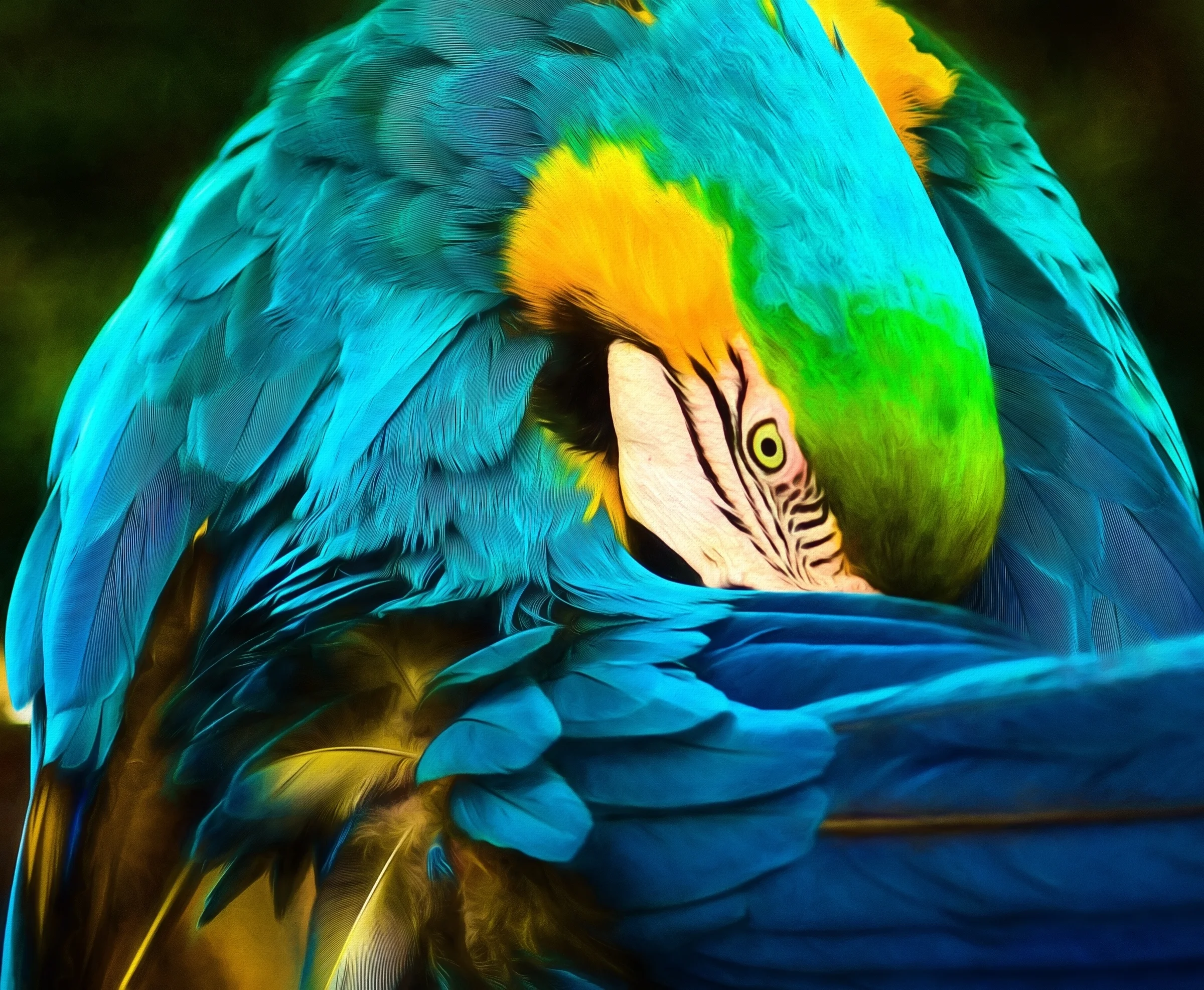 Parrot1.jpg