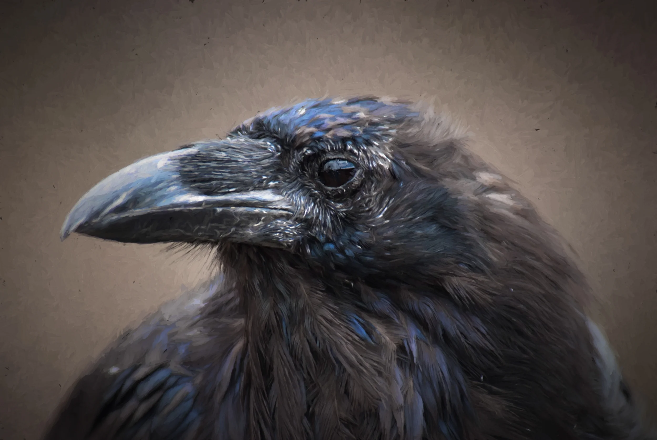 Raven impressions2.jpg