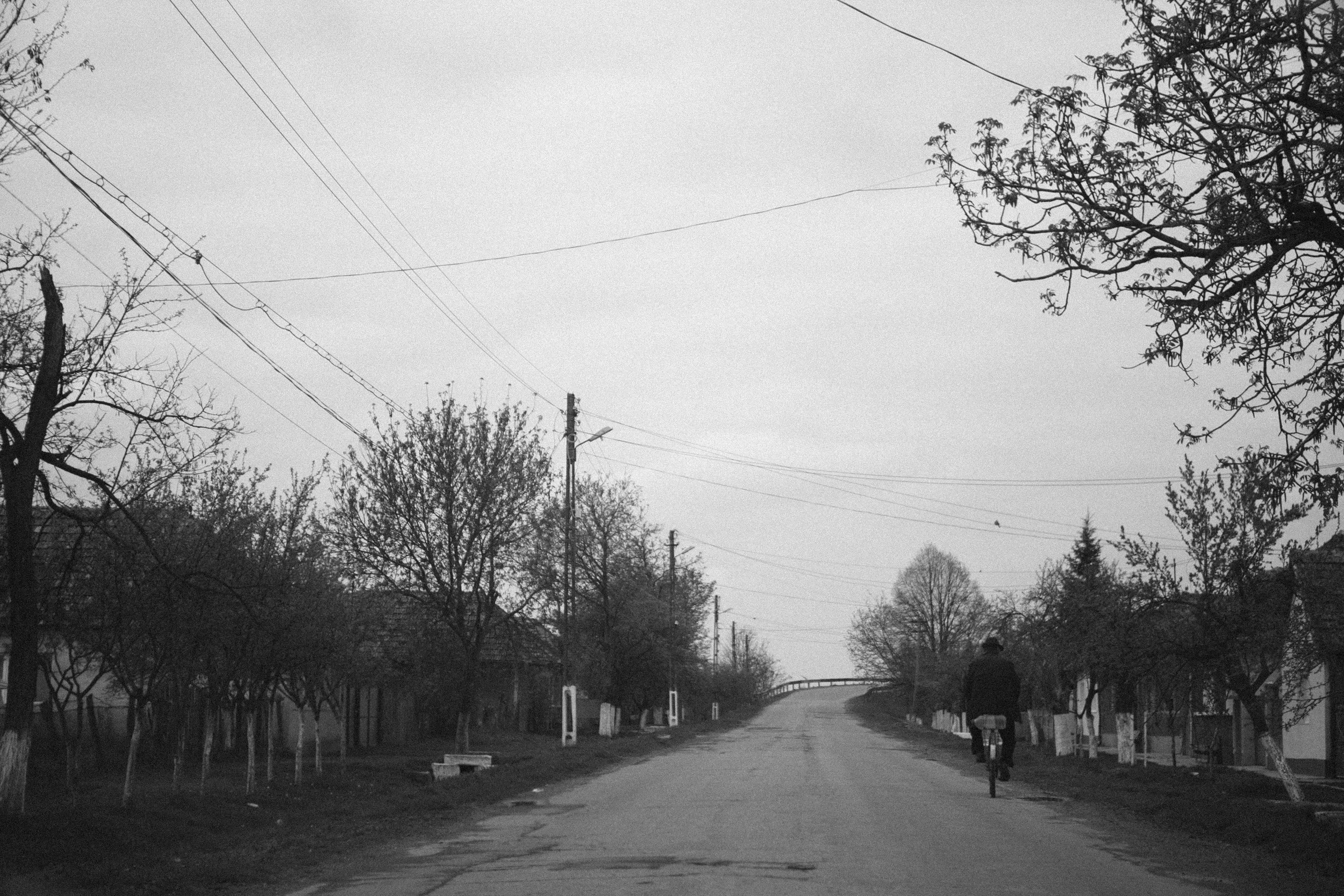 TR3i-Photo-Padis-11.jpg