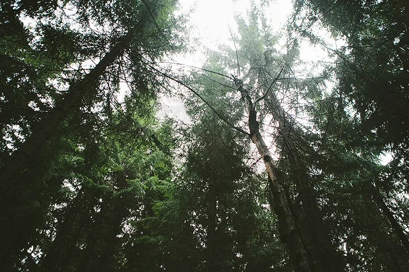 O+C_site_001.jpg