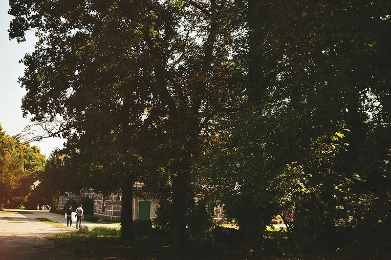 I_P_WEDD_site_05.jpg