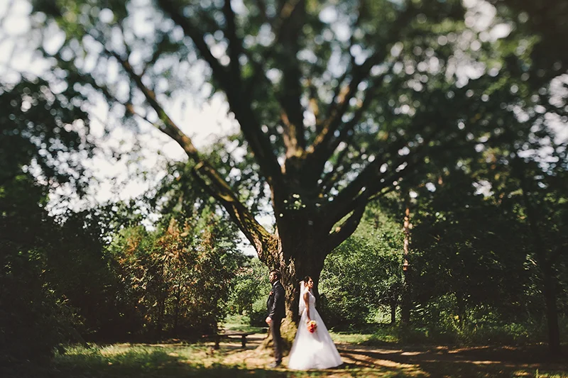 I_P_WEDD_site_56.jpg