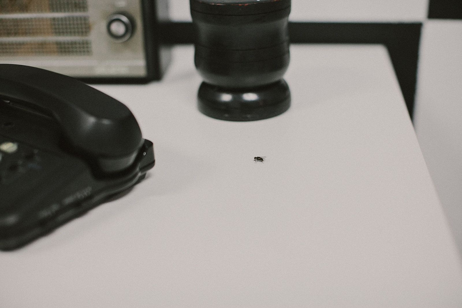 N+I_SITE_095.jpg