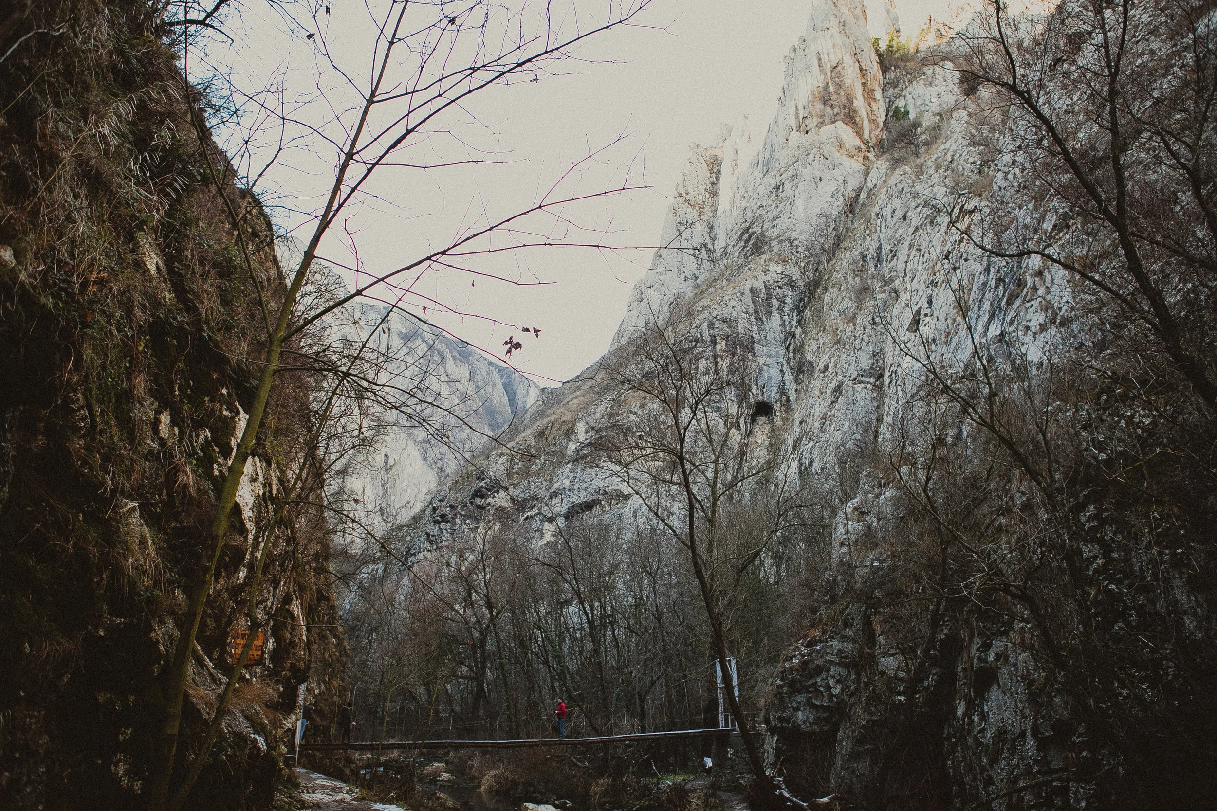 Cluj_dec2014-29.jpg