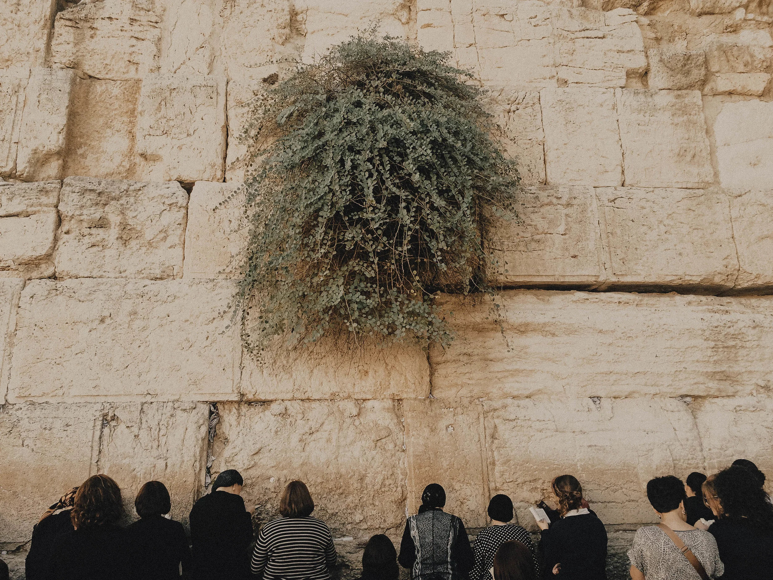 israel_iphone-3.jpg