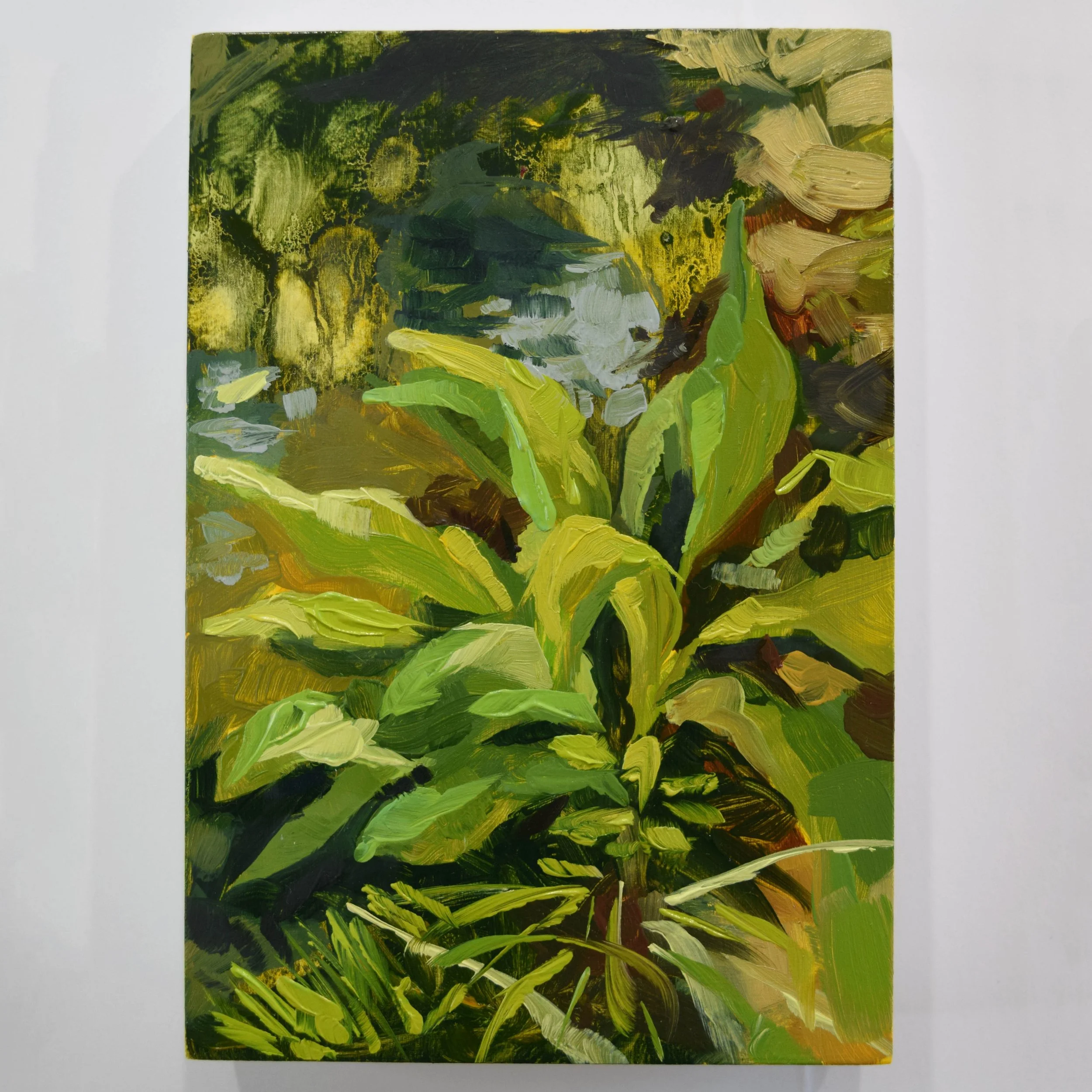 37. Mossy Pond_4x6.JPG