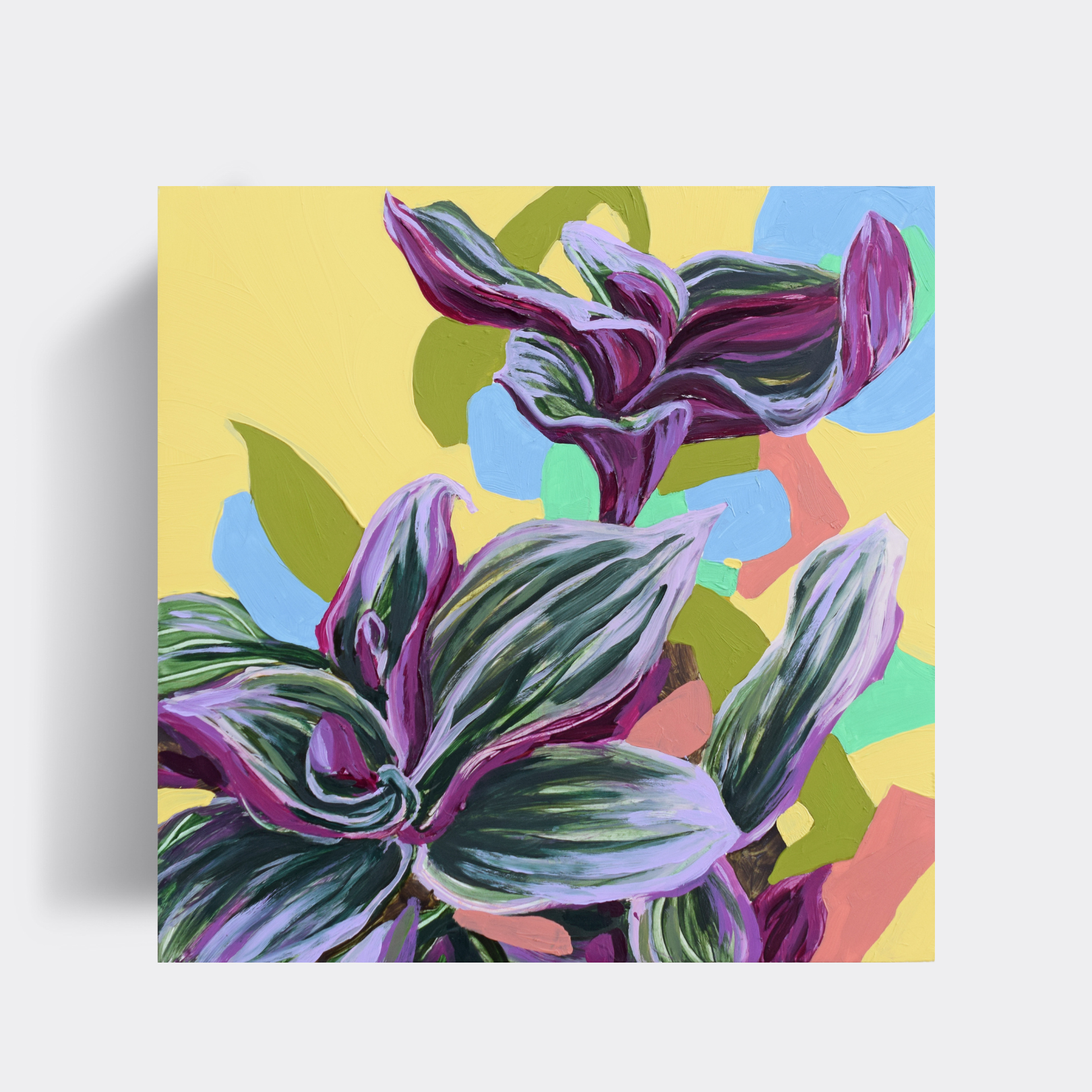 Lavender Spider