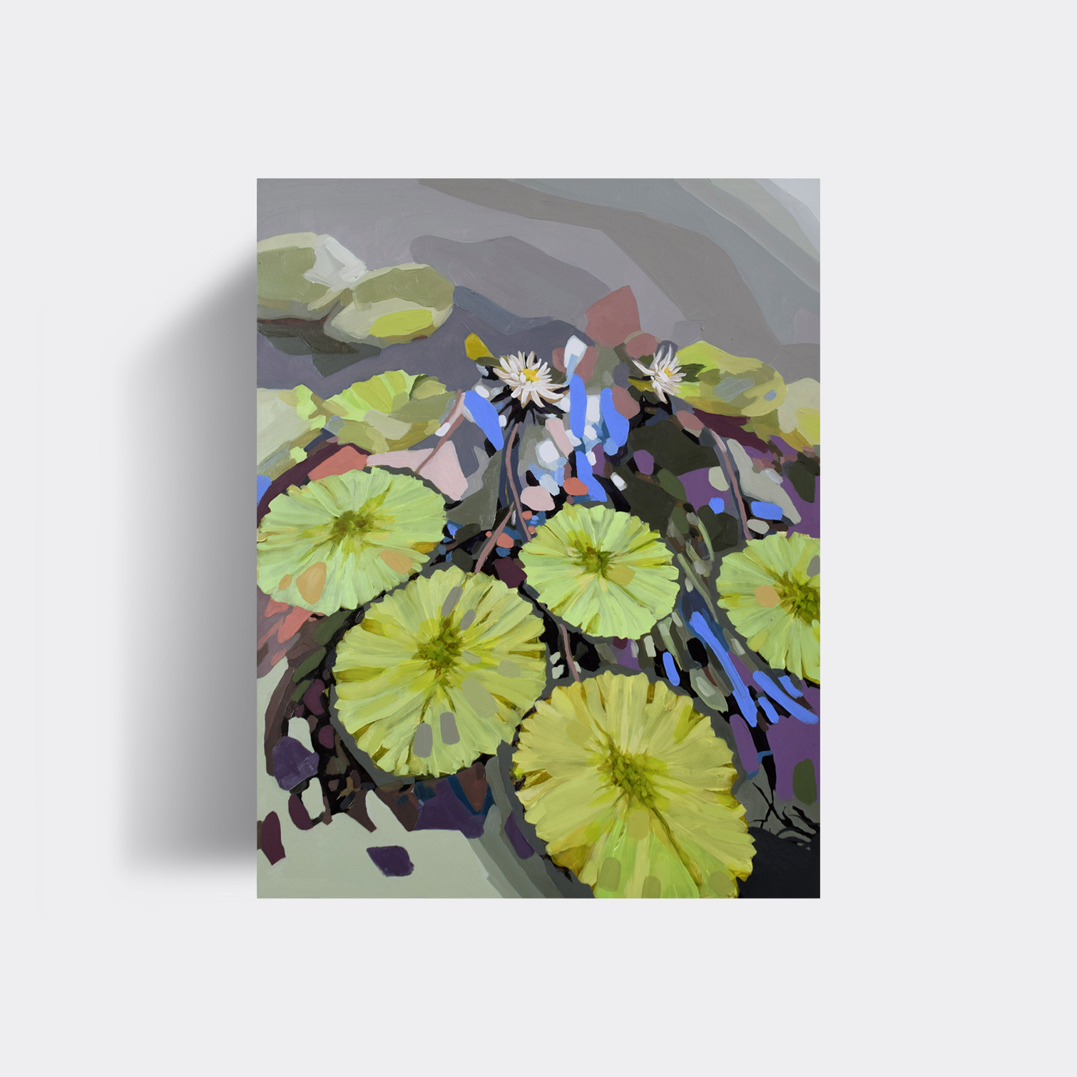 Lily Pond