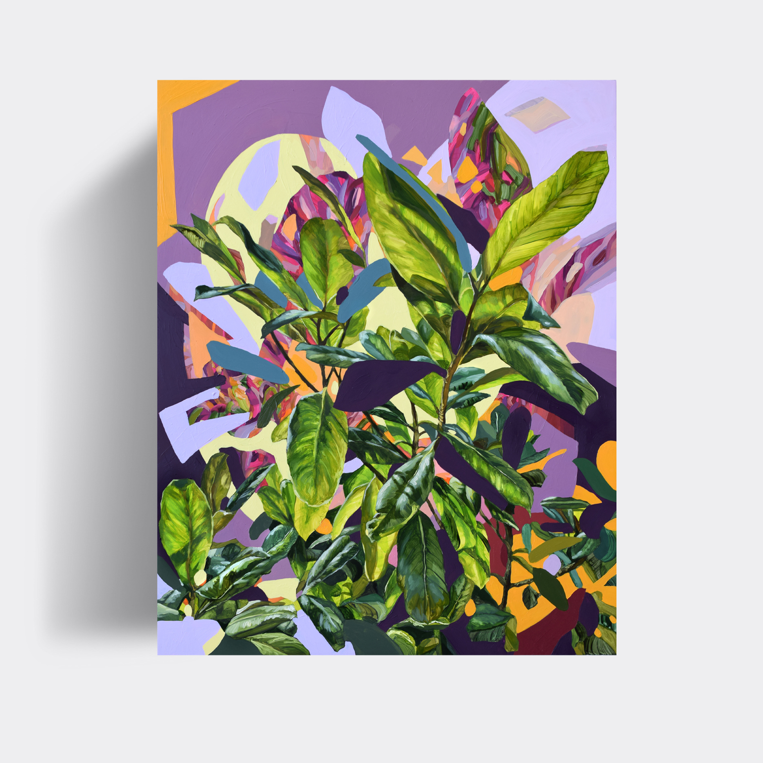 Sweetbay Magnolia