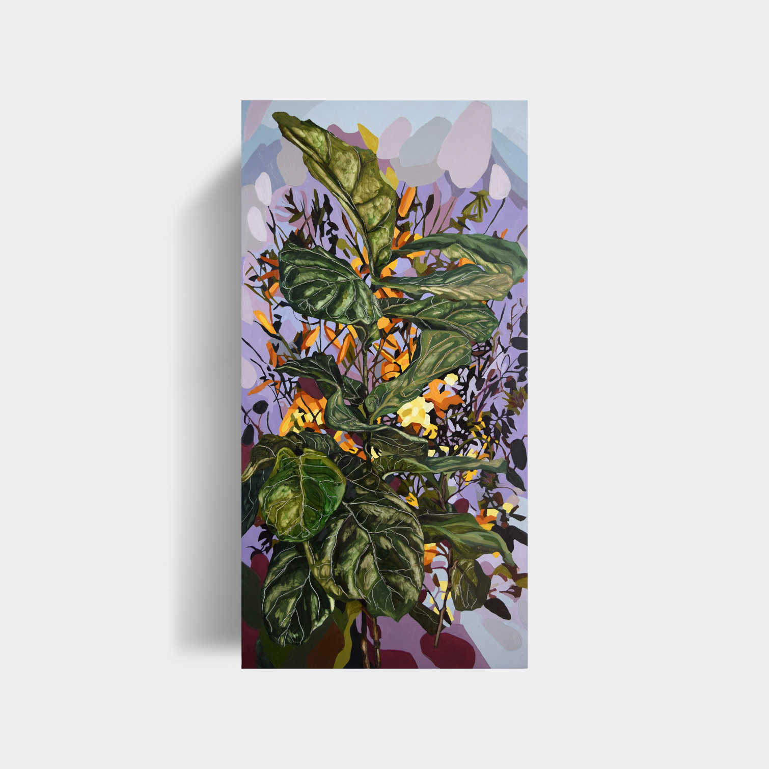 Fiddle Leaf Fig