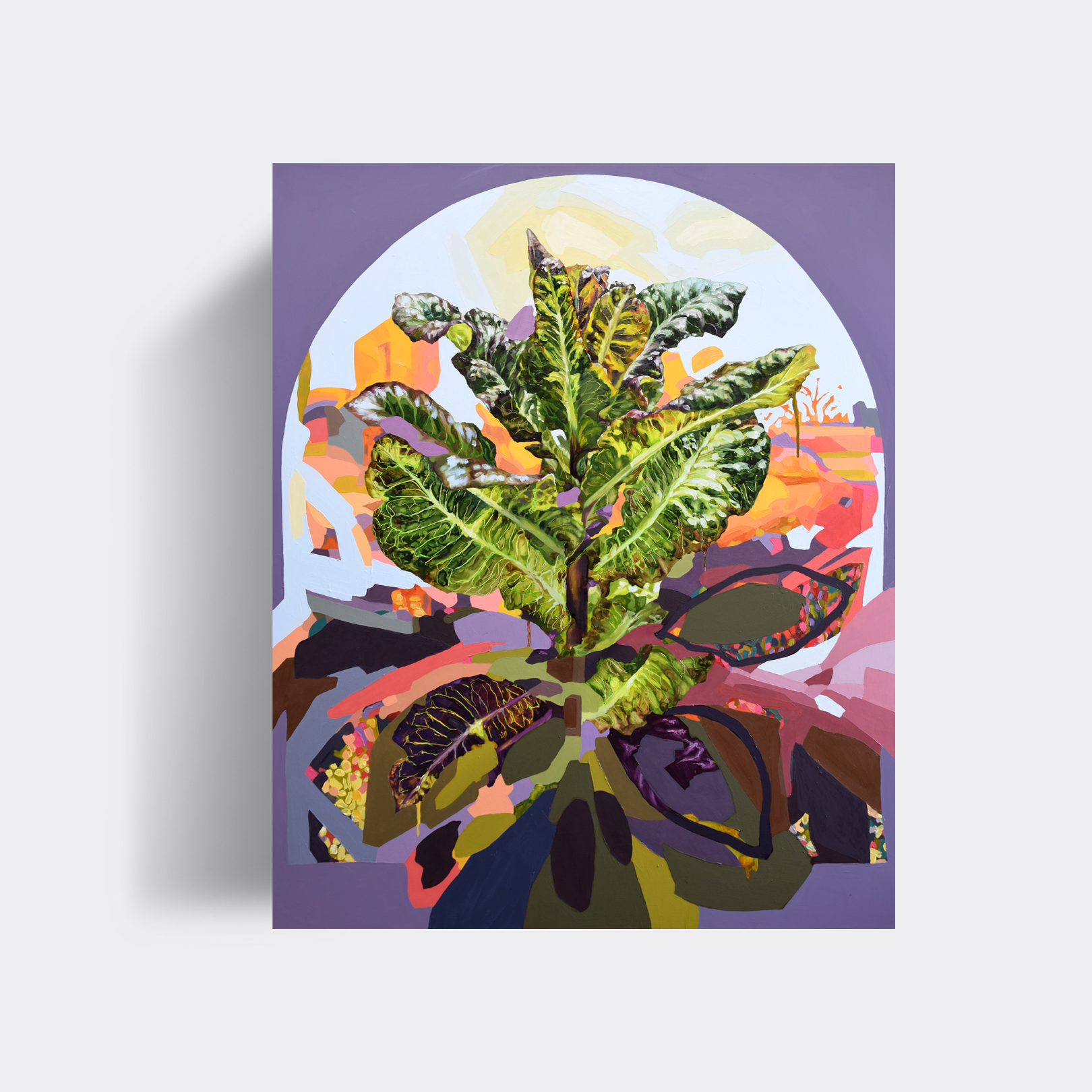 Romaine