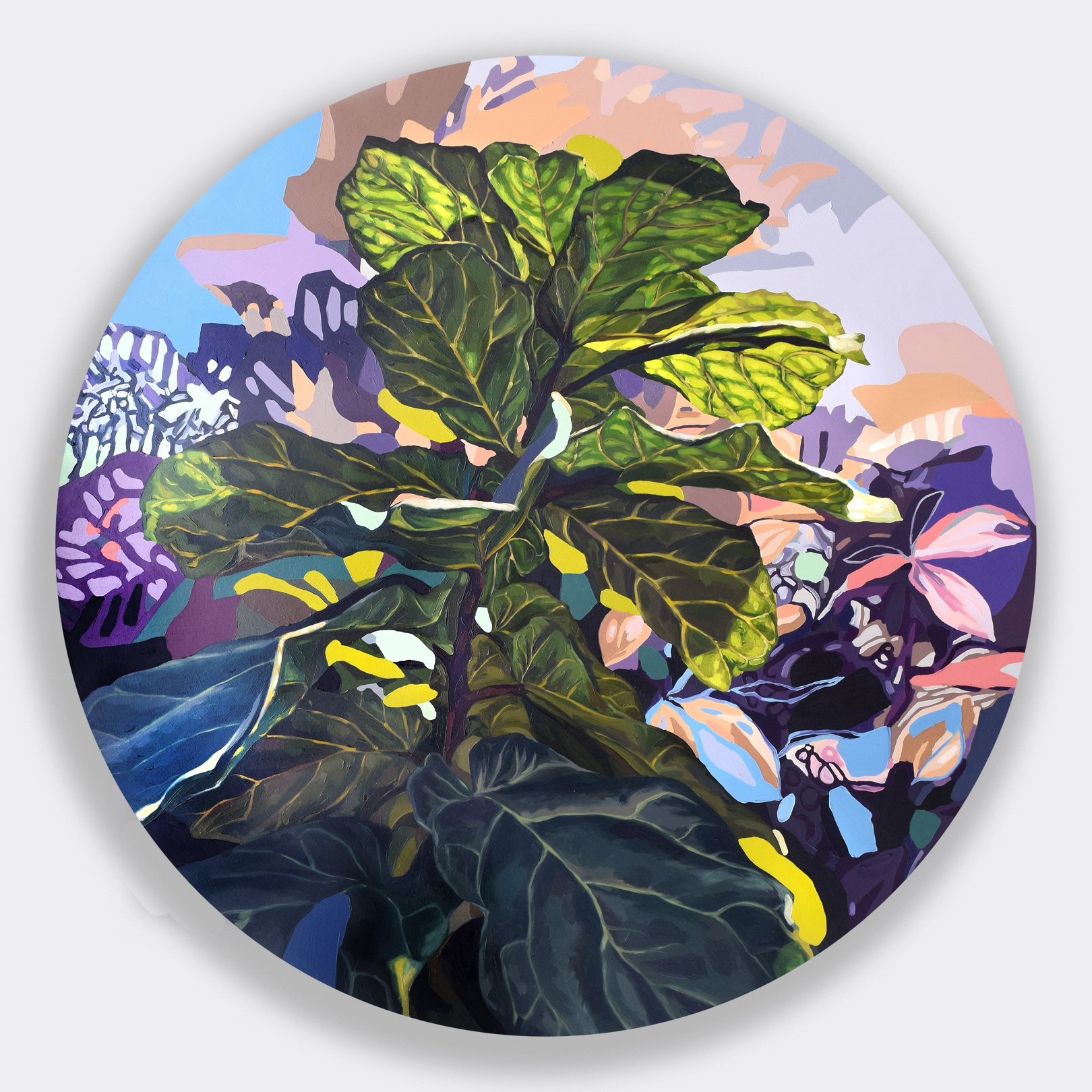 Canopy (Fig Leaf)