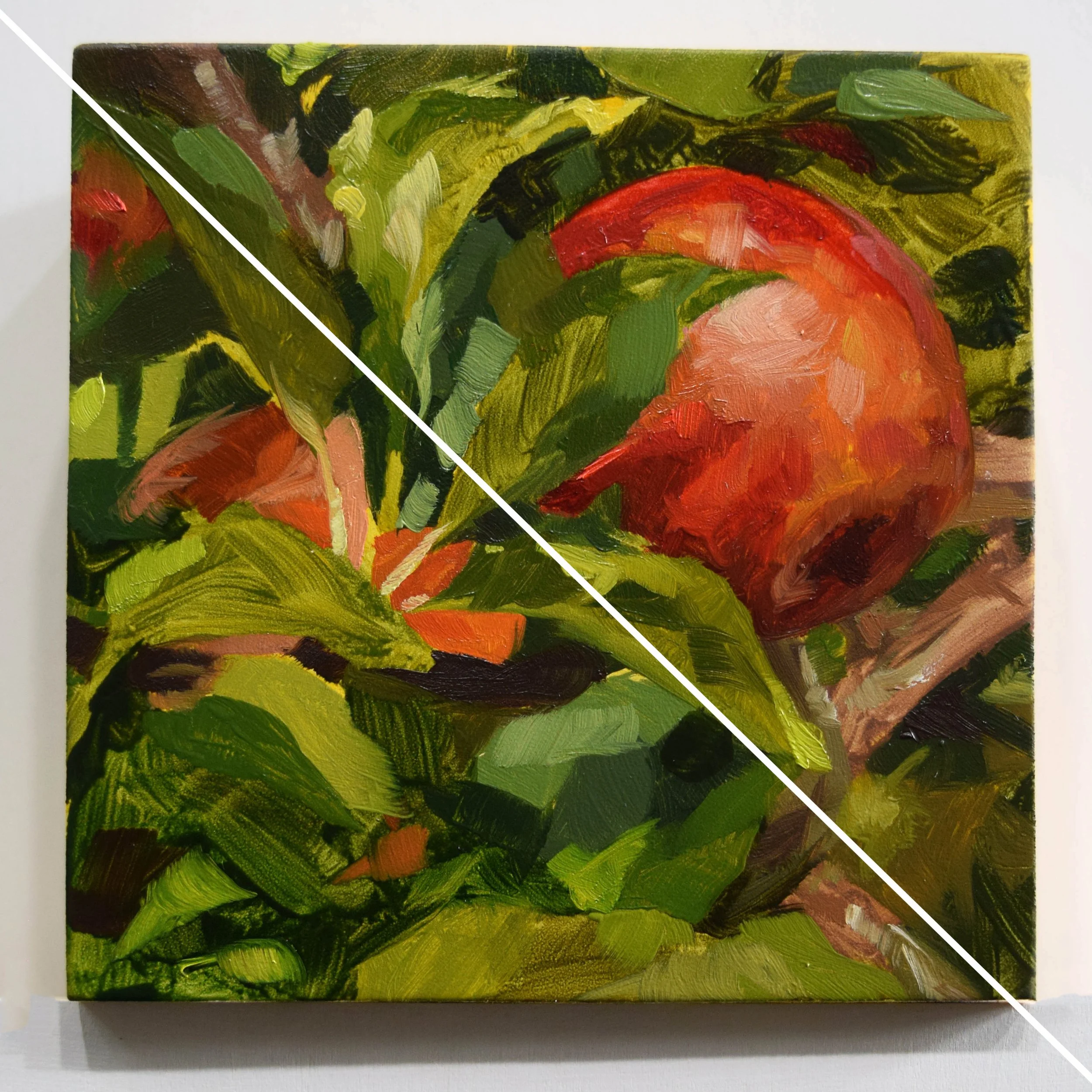 Apple Orchard (4x4in)