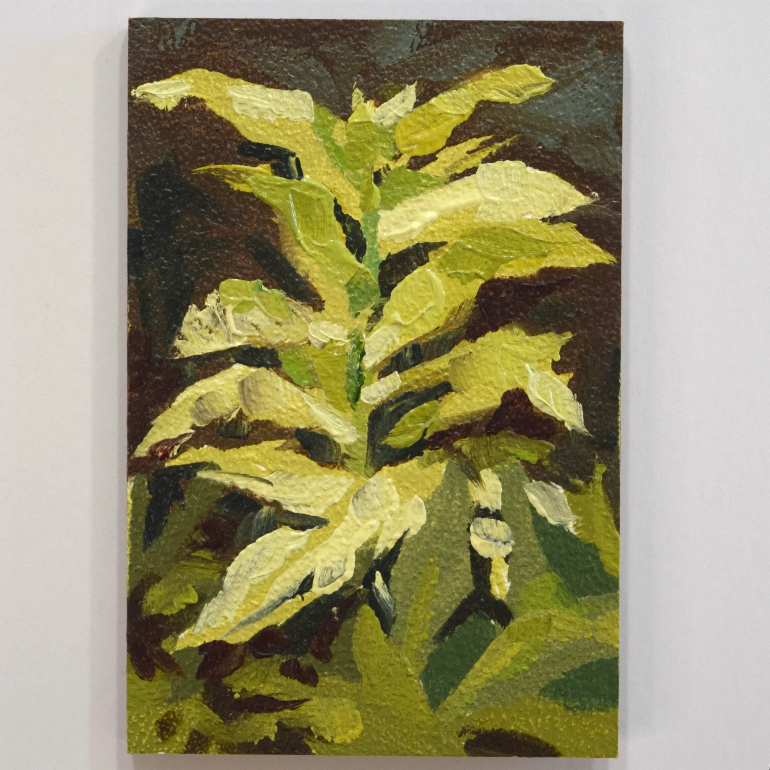 12. Pale Pond Growth_2x3.JPG