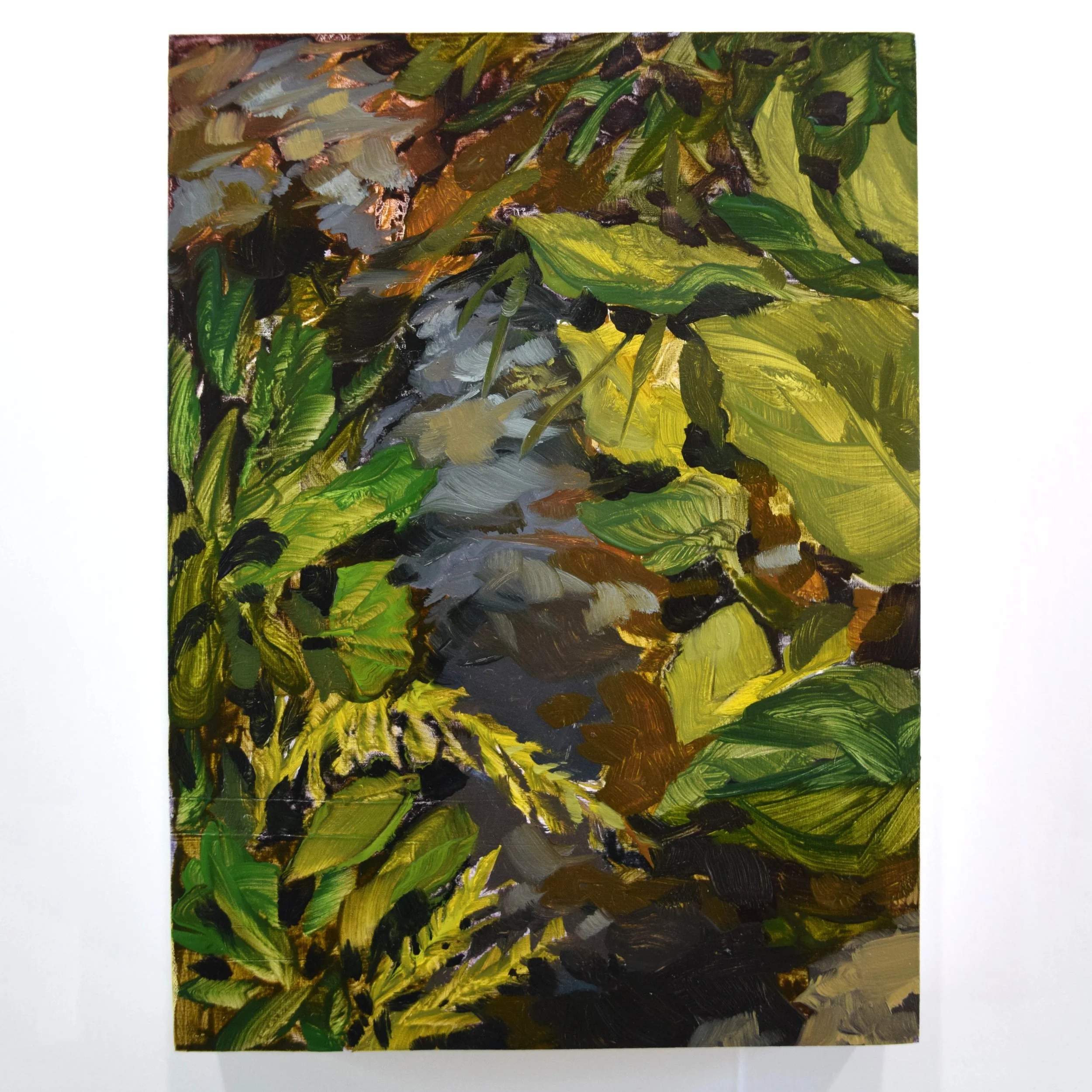 17. Dark Stream_5x7.JPG