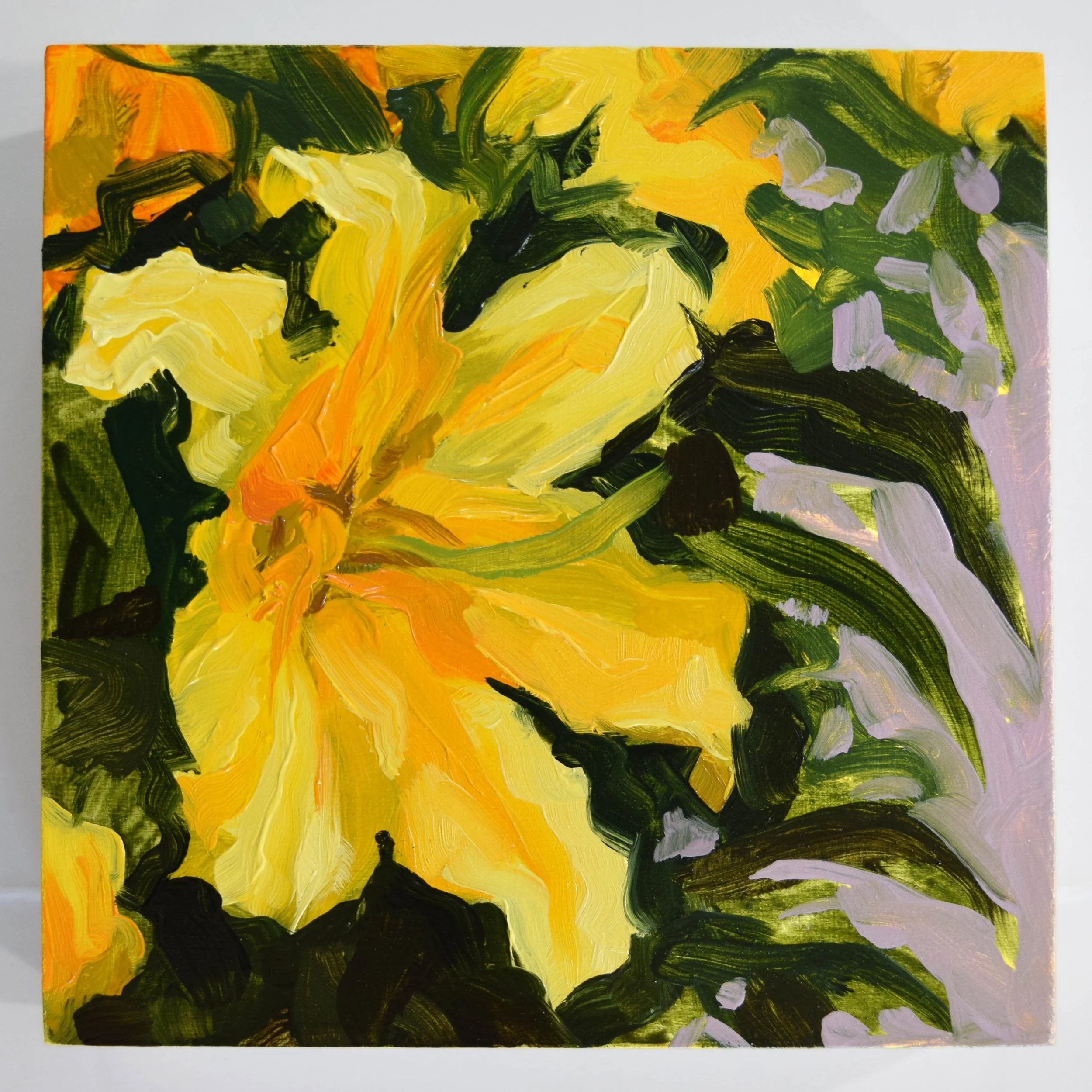 51. Yellow Lily_2x3.JPG