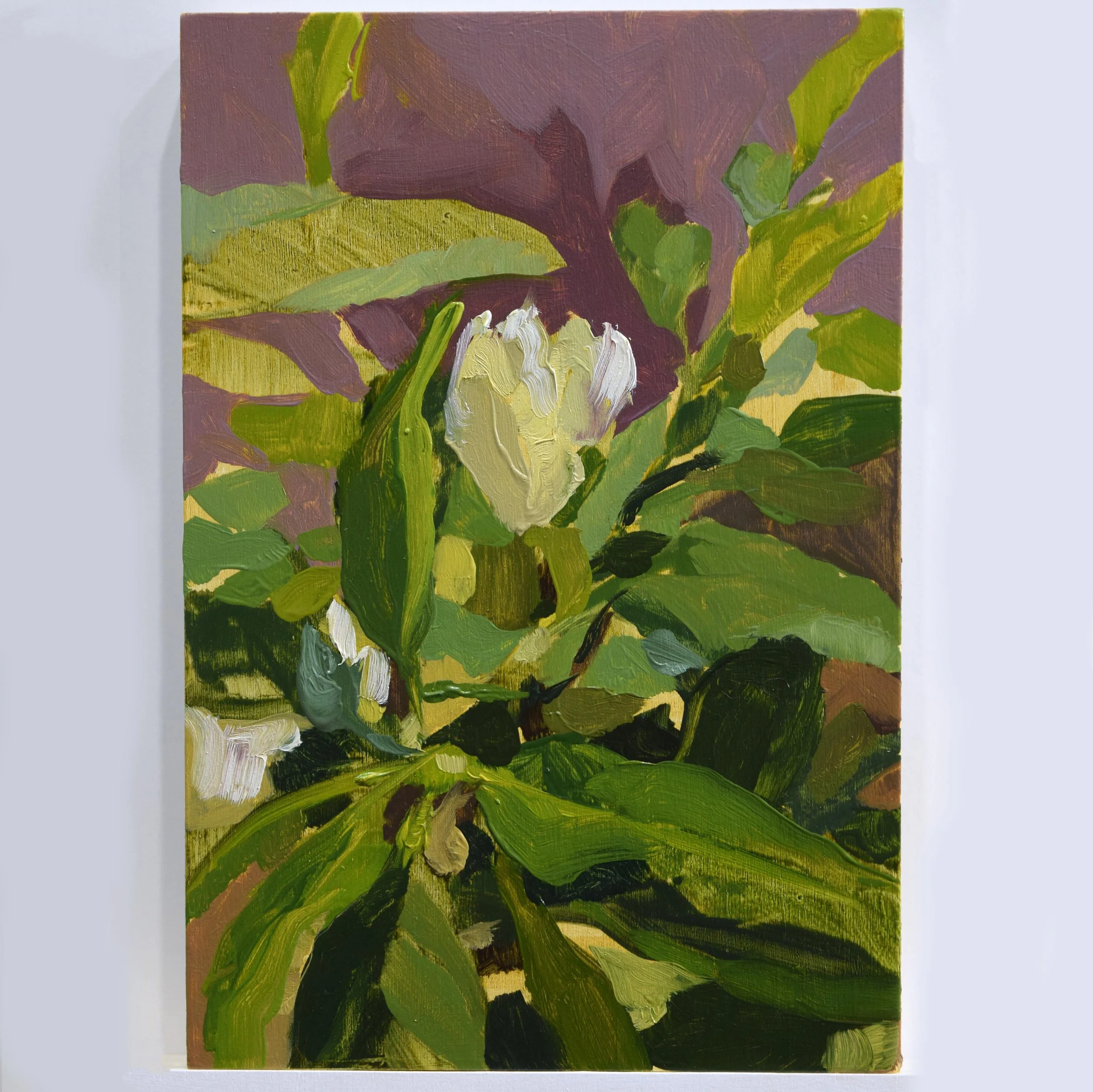 Magnolia Wind (4x6in)
