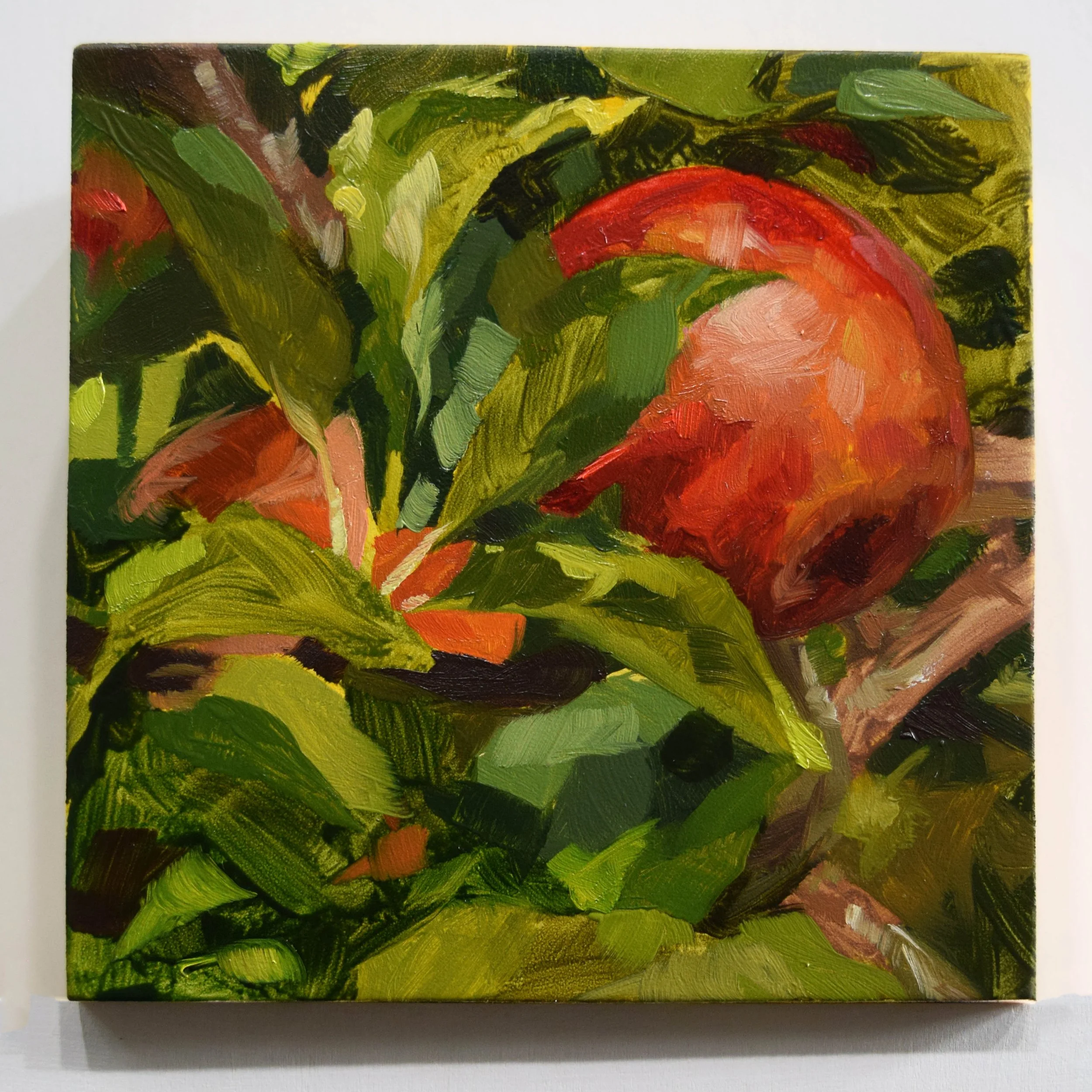 62. Apple Orchard_6x6.JPG