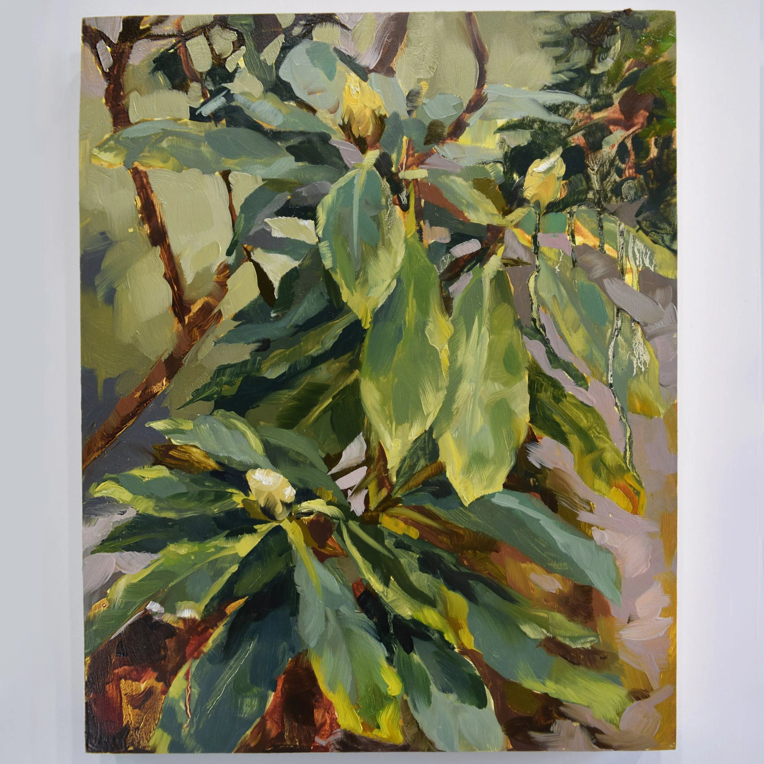 70. Rhododendron_8x10.JPG