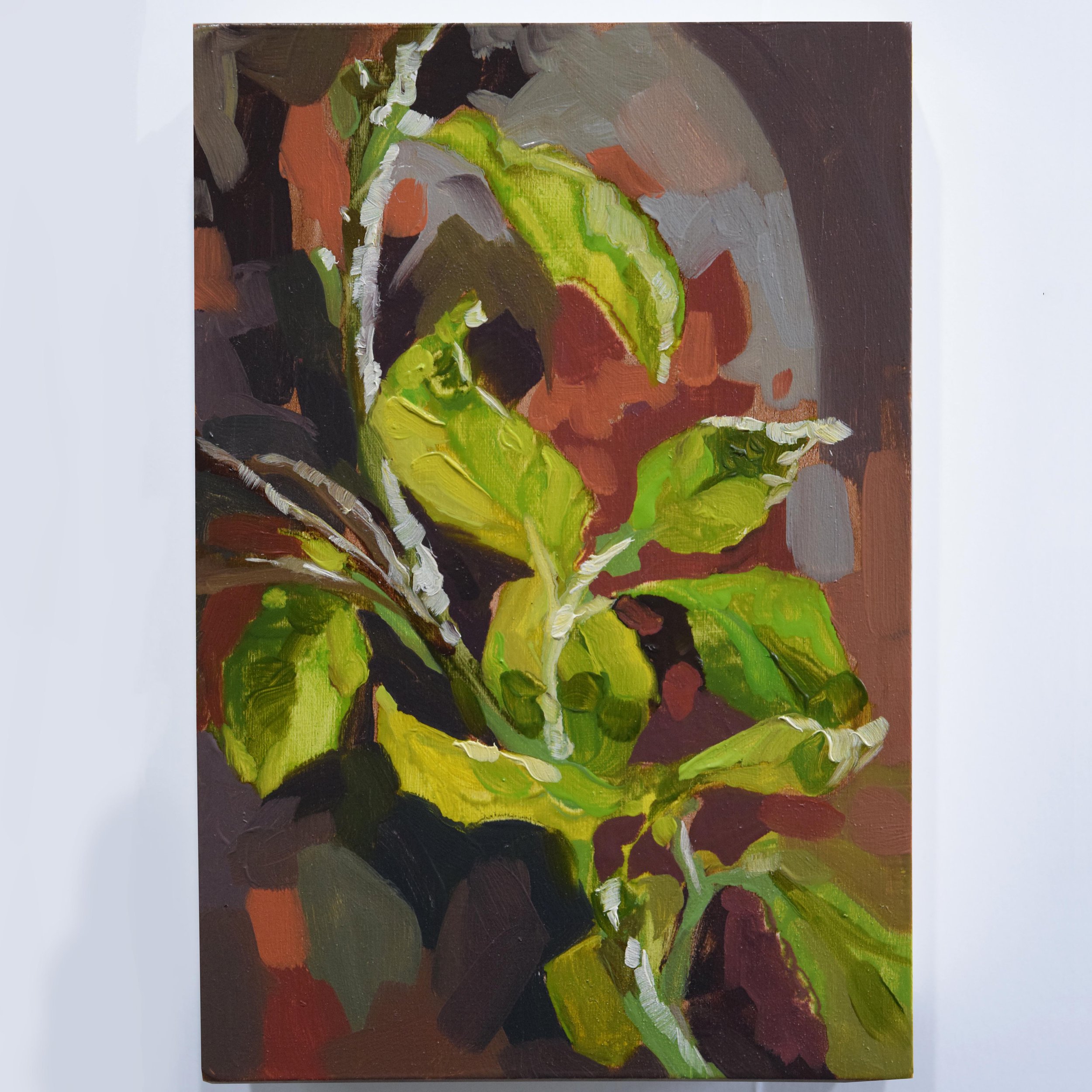 19. Grapefruit Leaves.jpg