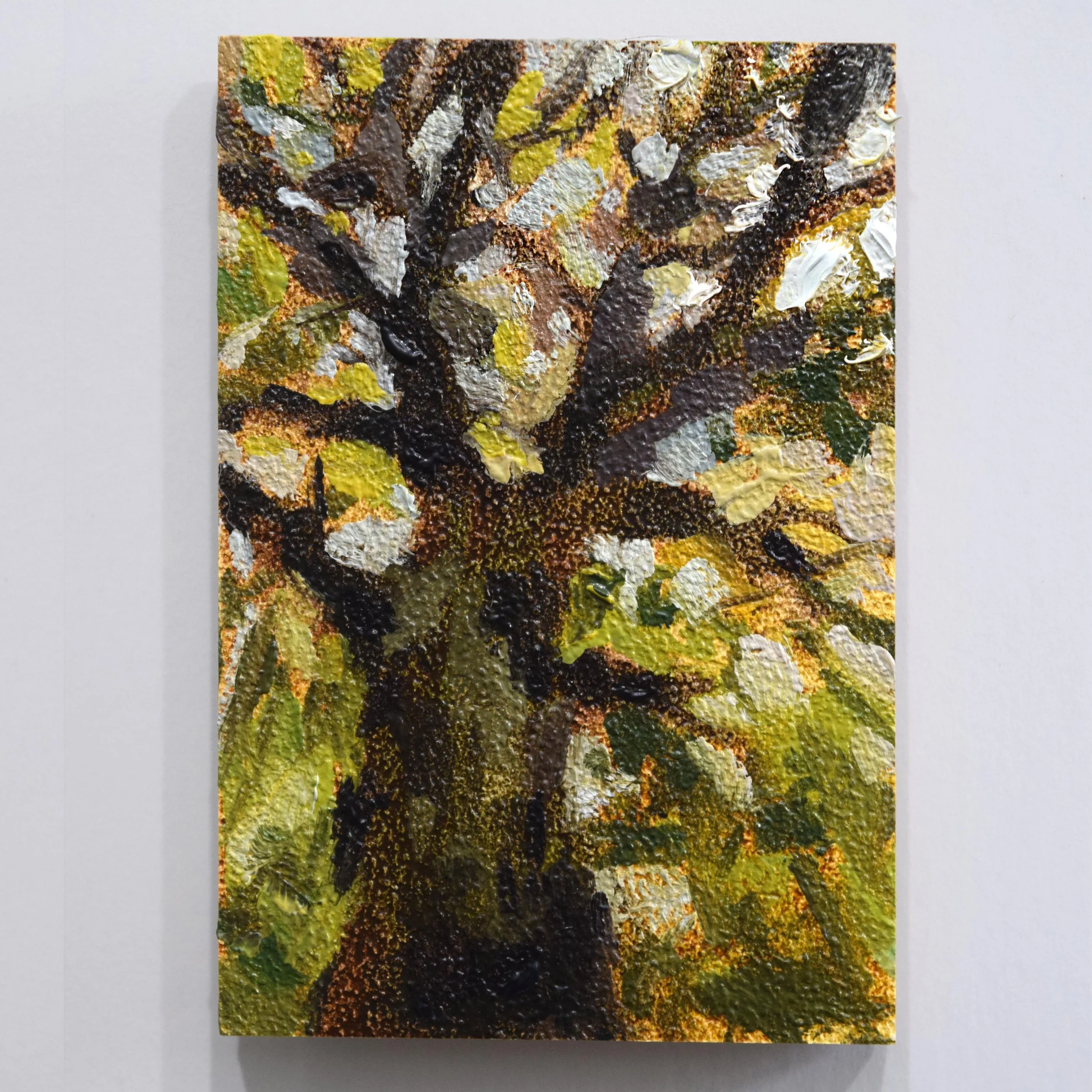 20. Beechwold Tree_2x3.JPG