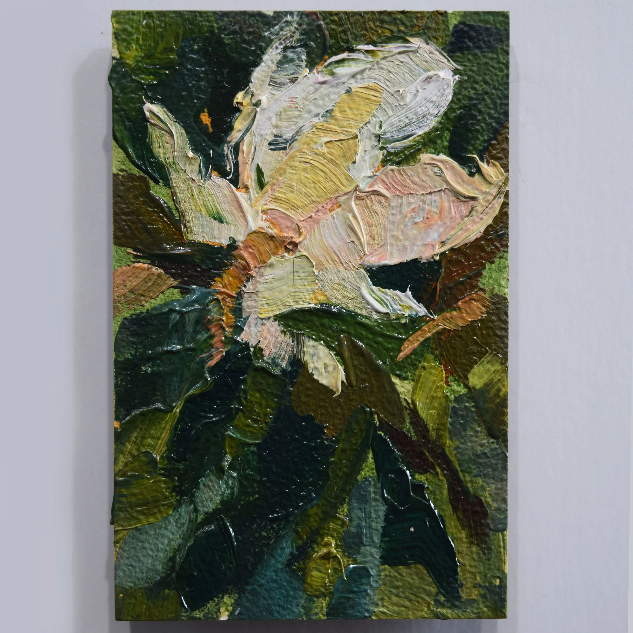 59. Thick Magnolia_2x3.JPG