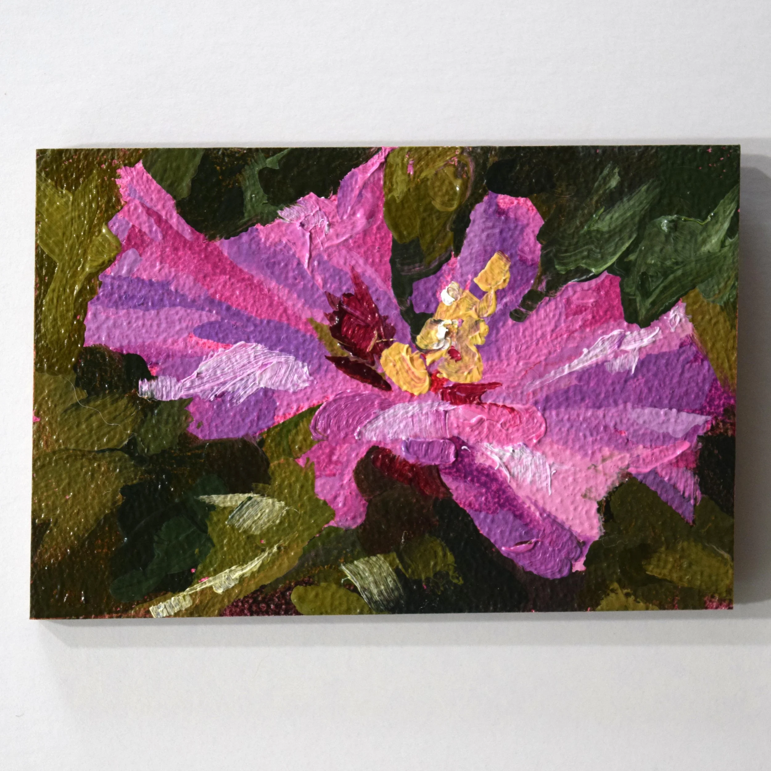 36. Hibiscus_2x3.JPG