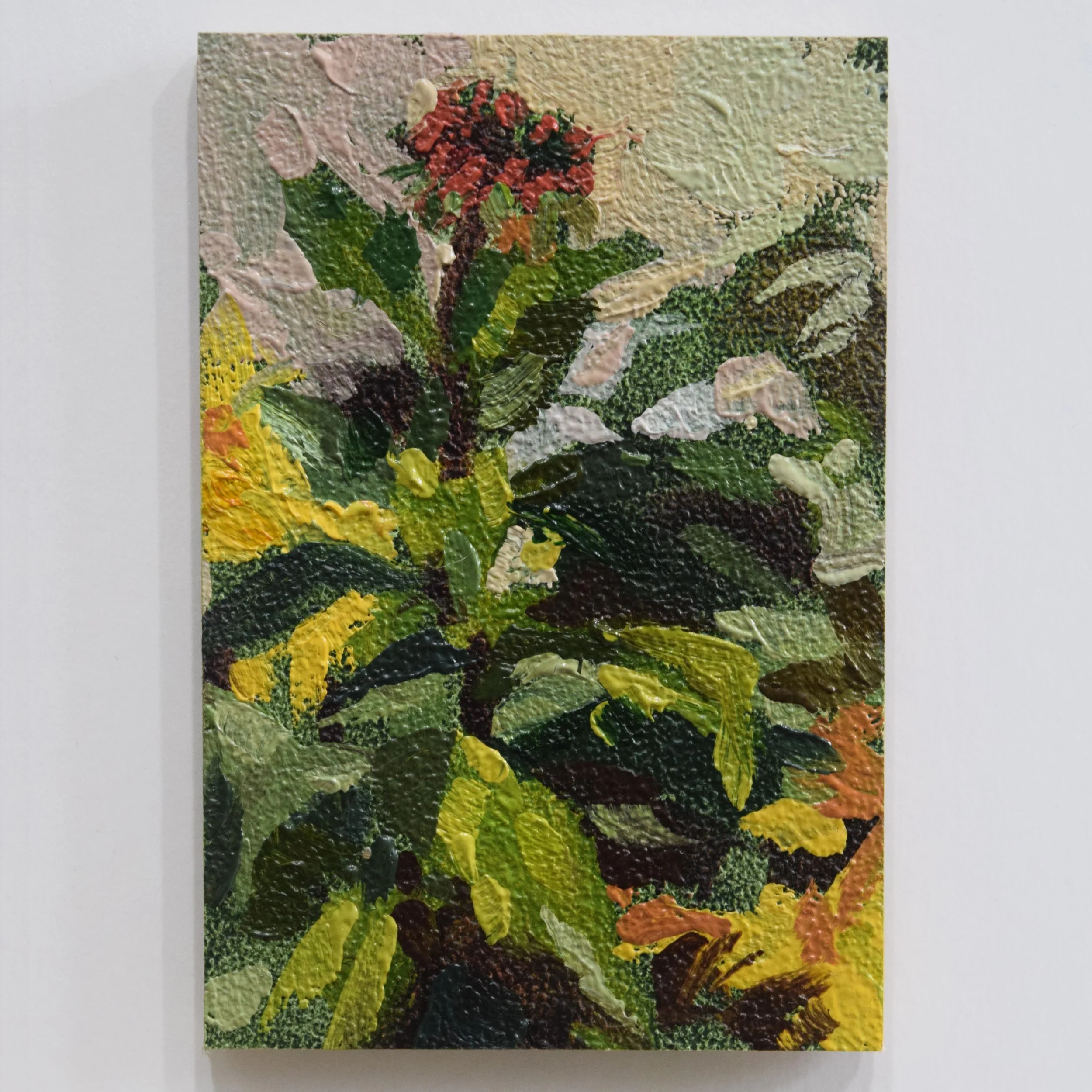 38. Milkweed_2x3in.JPG