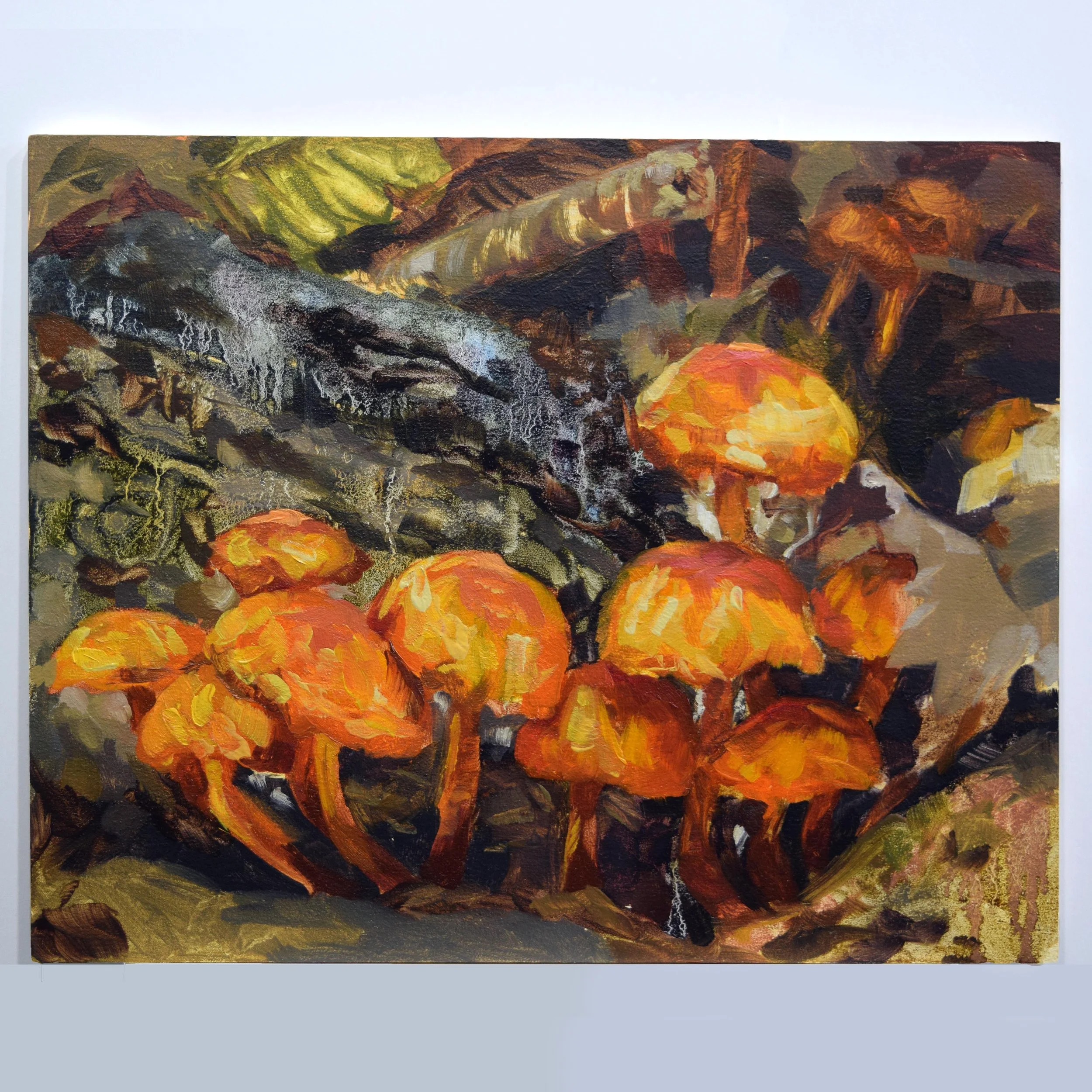 Mushrooms (8x10in)