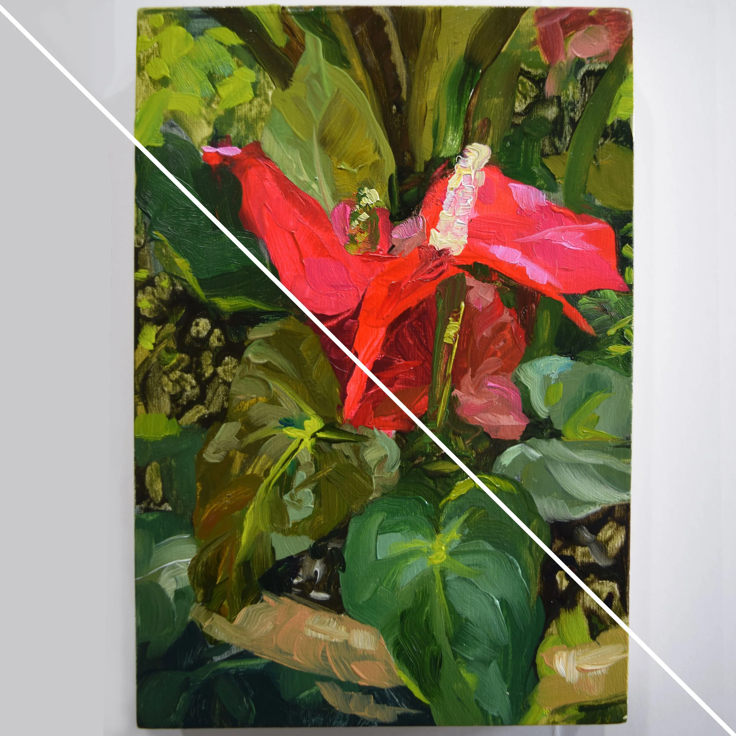 Botanical Garden (4x6in)