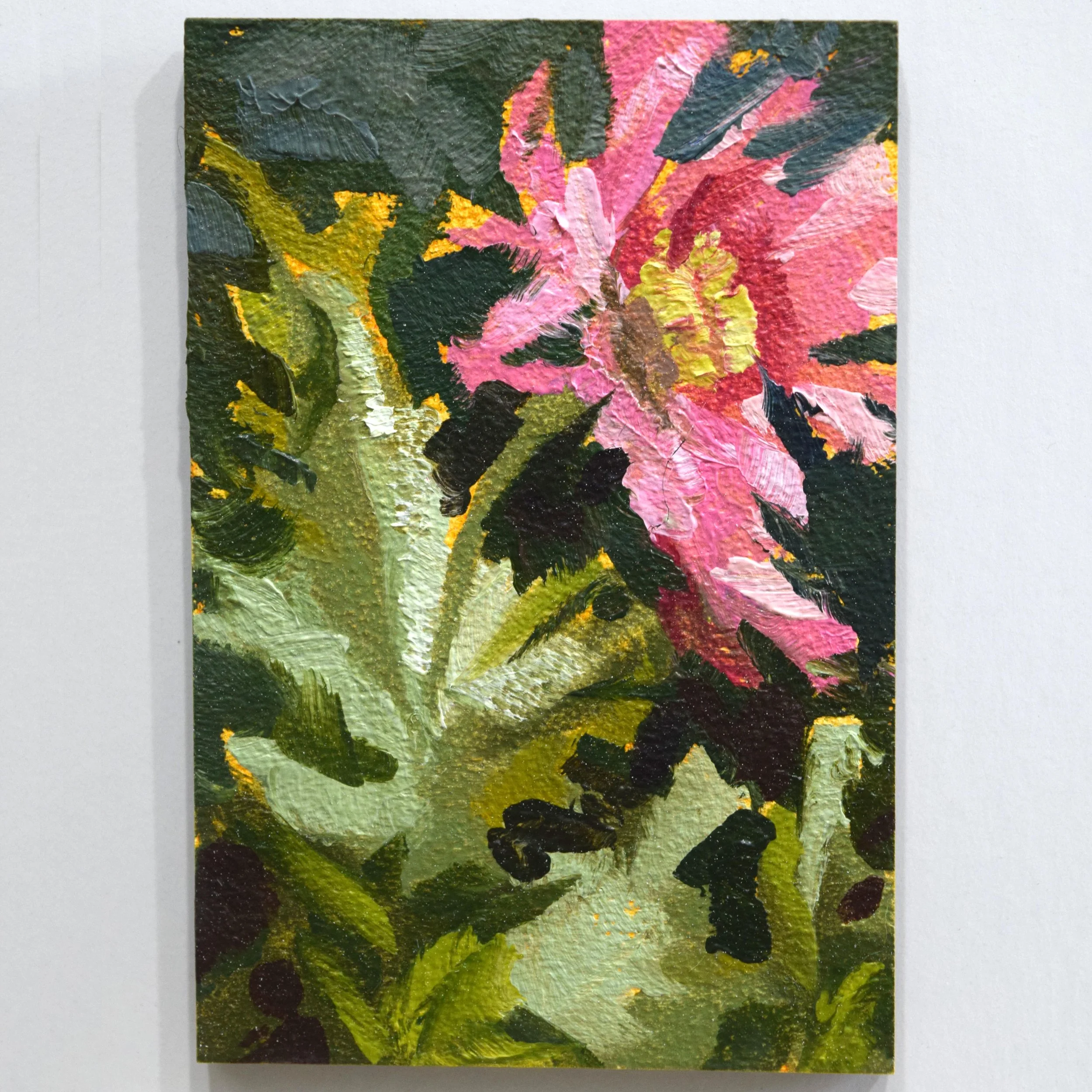 14. Pink Poppy_2x3.JPG