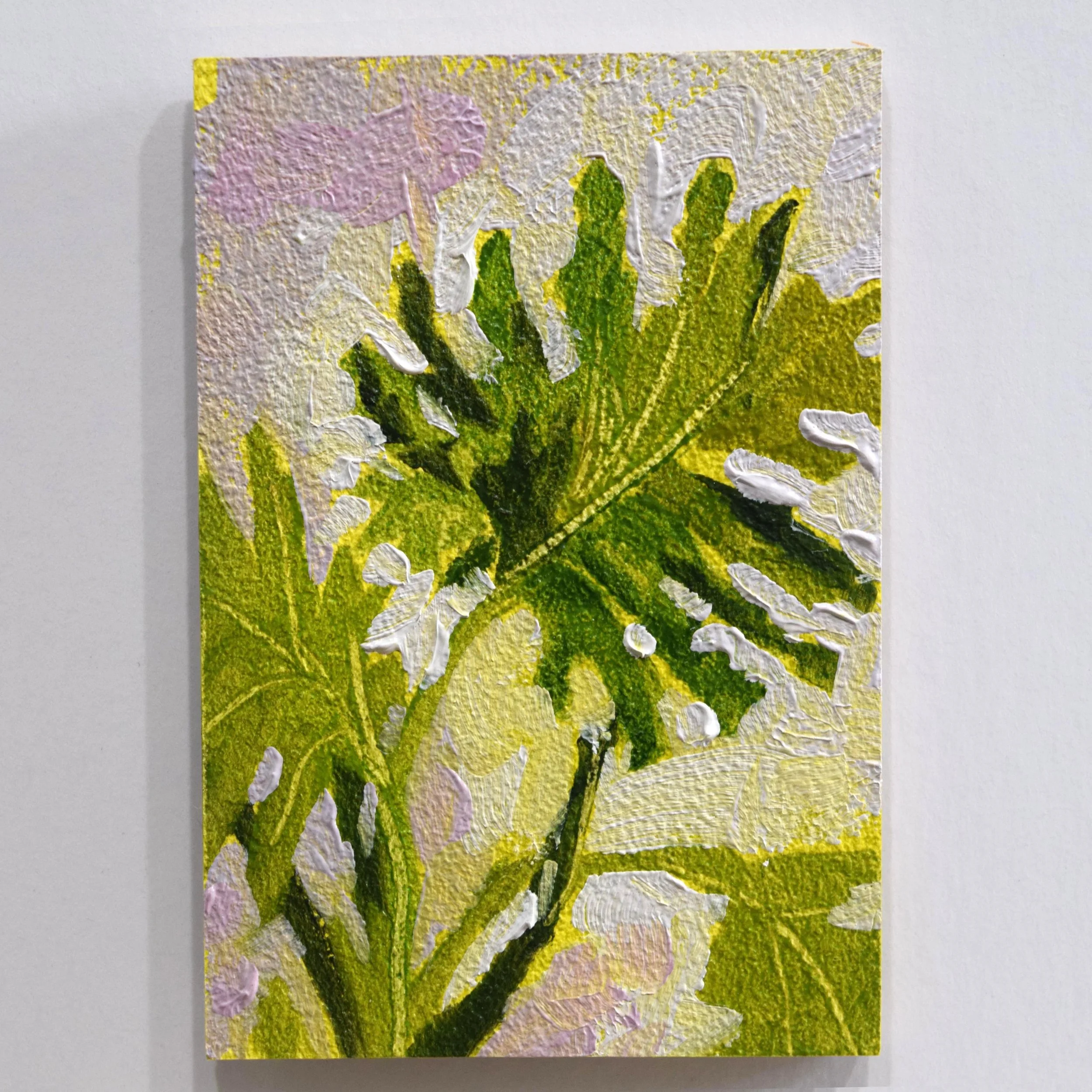 31. Philodendron_2x3.JPG