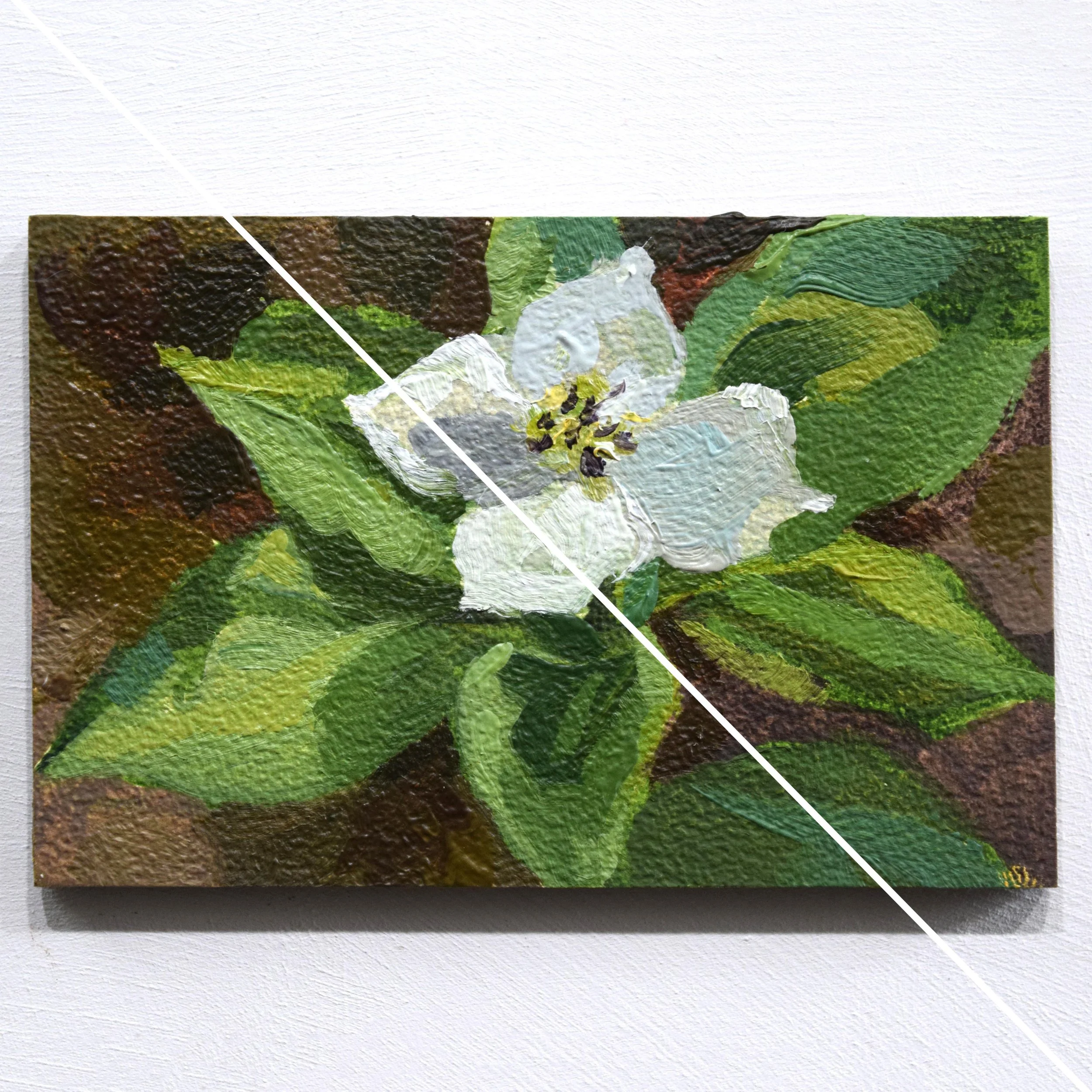 Trillium (2x3in)