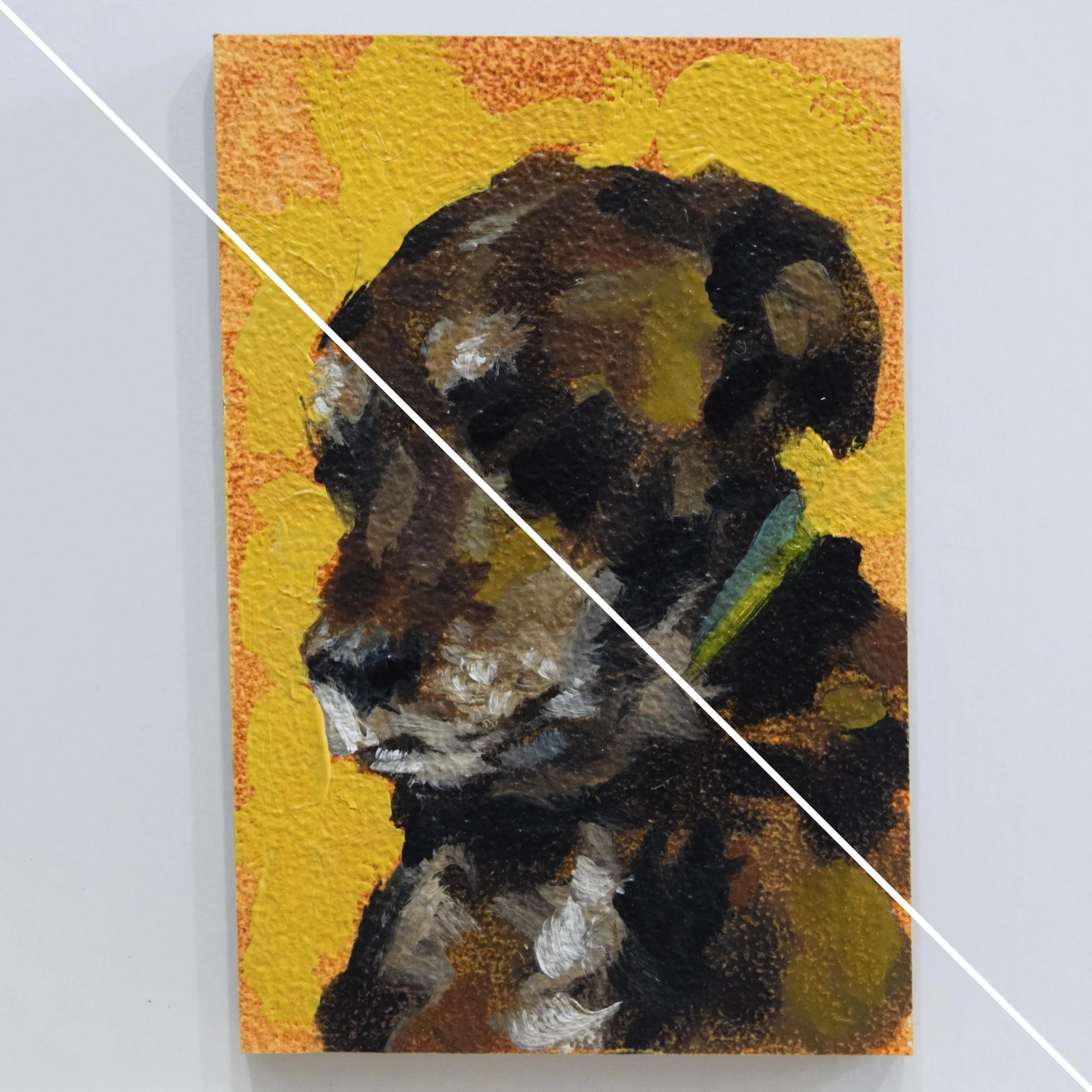 Sal (2x3in)