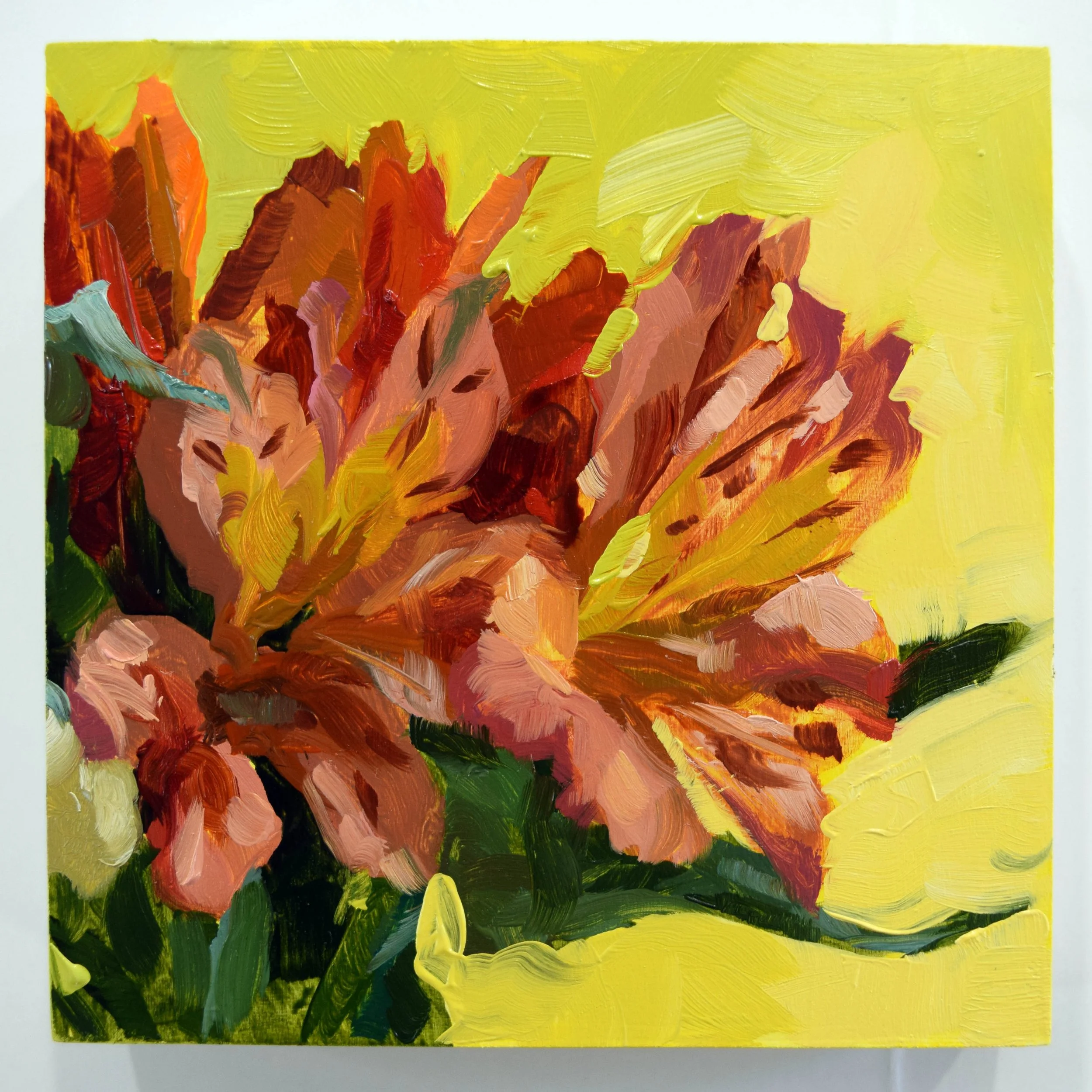 49. Lily on Lime_4x4.JPG