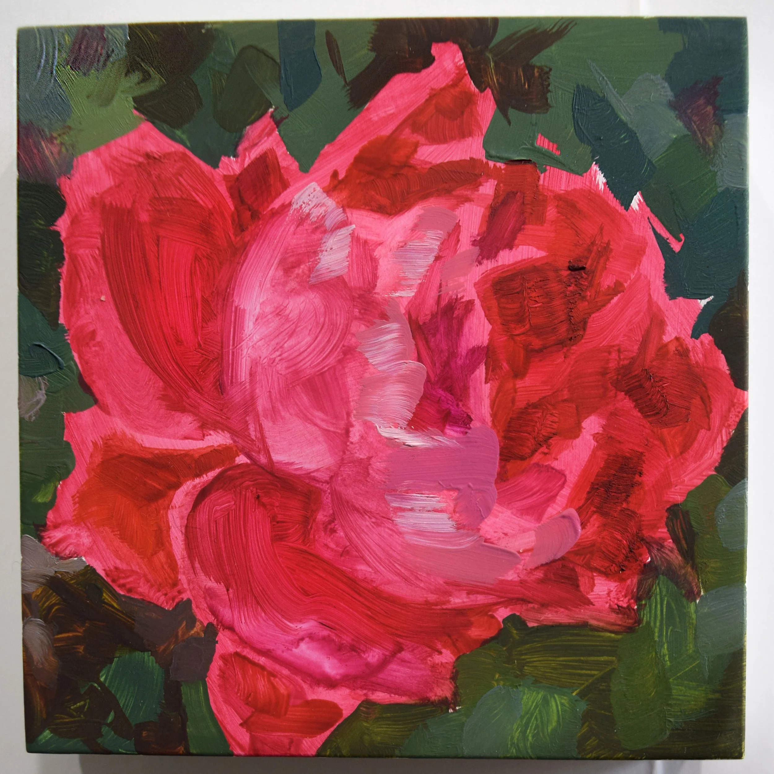 61. Glowing Rose_4x4.JPG