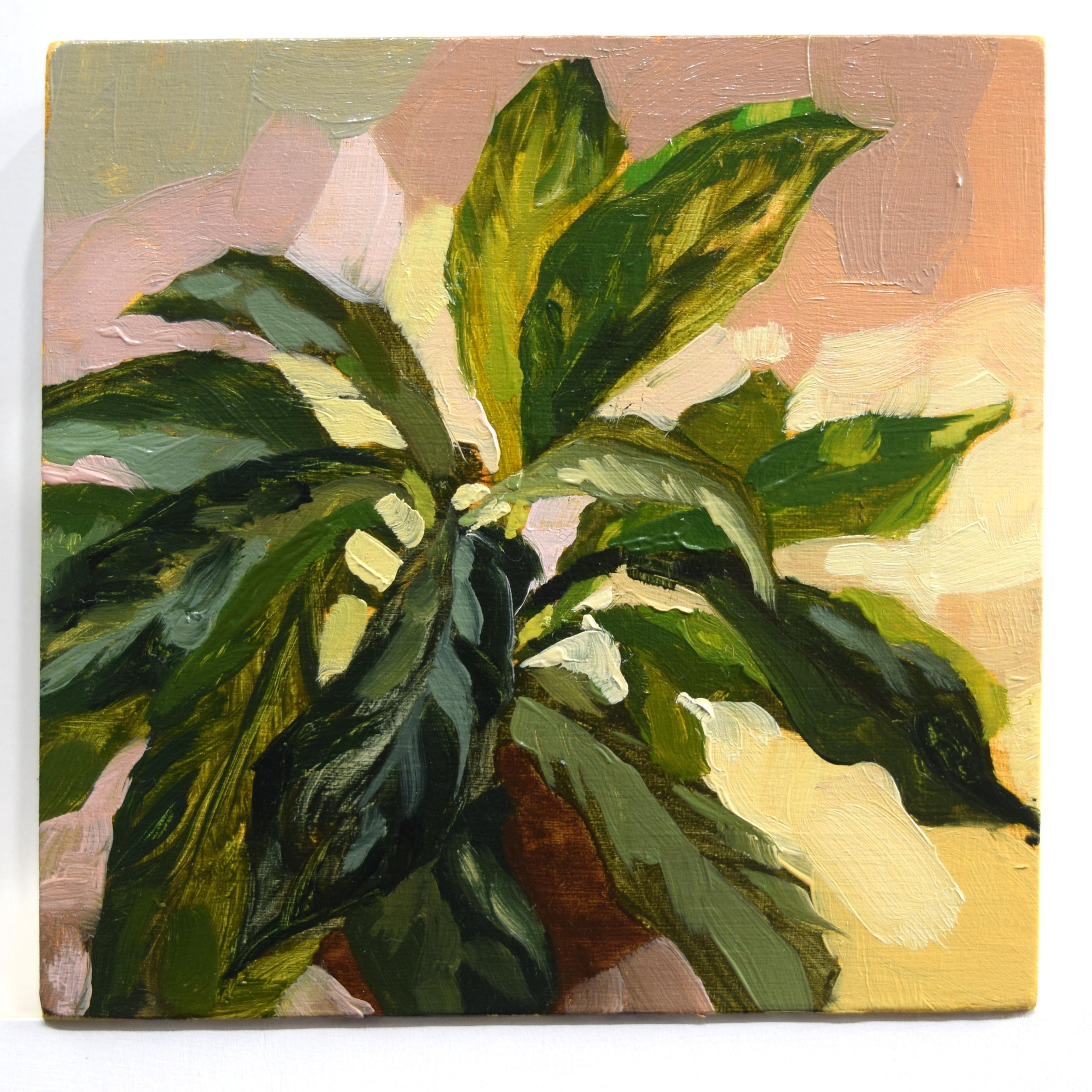 Leafy Houseplant (4x4in)