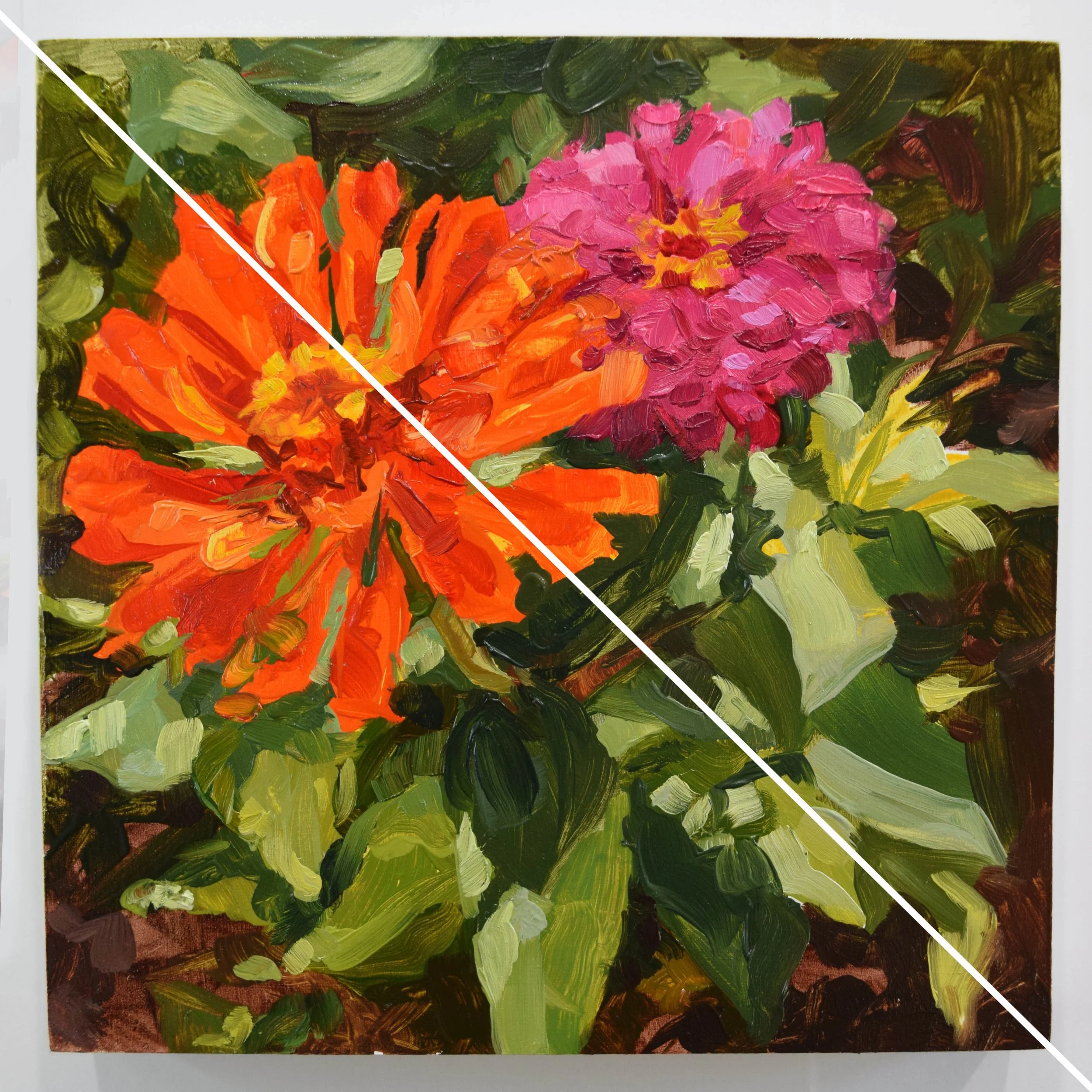 Zinnia Garden (6x6in)
