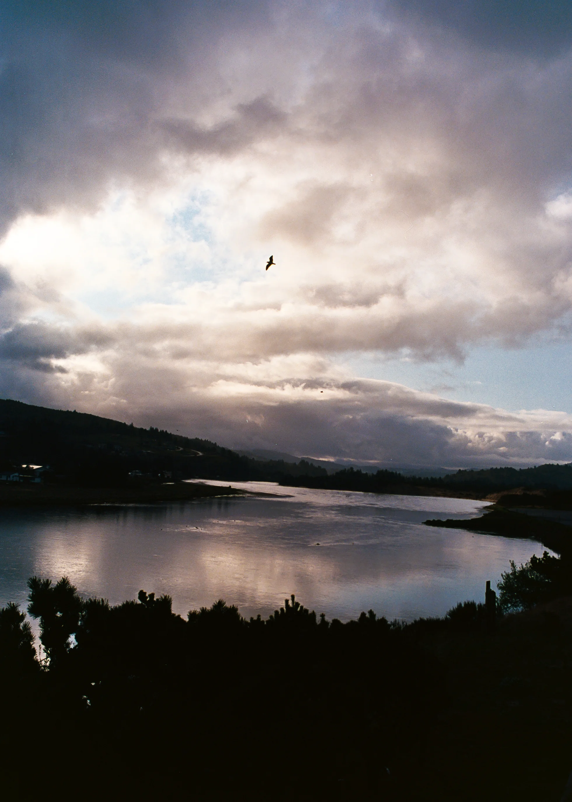 13720225003_f9a879ab4f_o.jpg