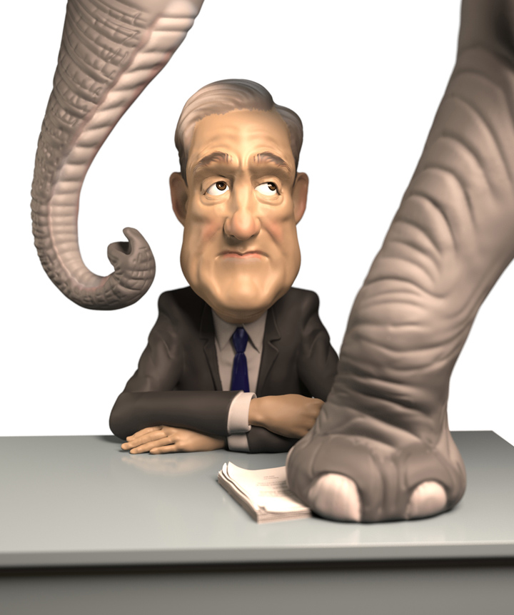 mueller web.jpg