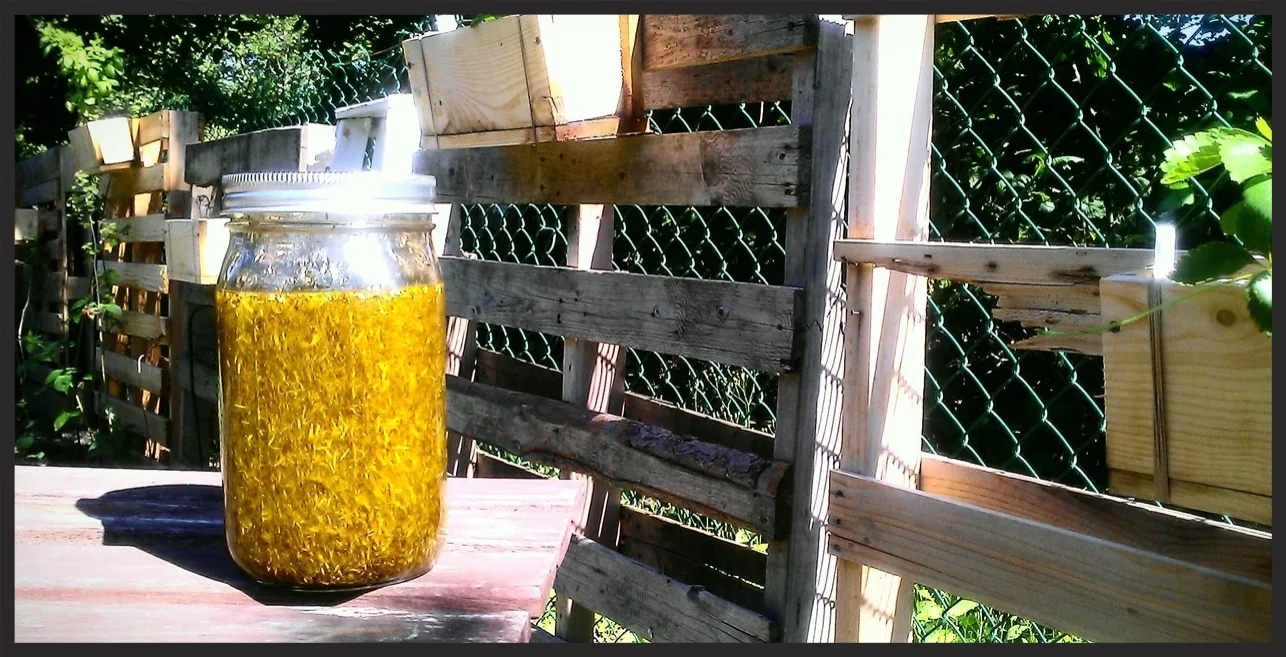  Organic Arnica with Organic Olive Oil