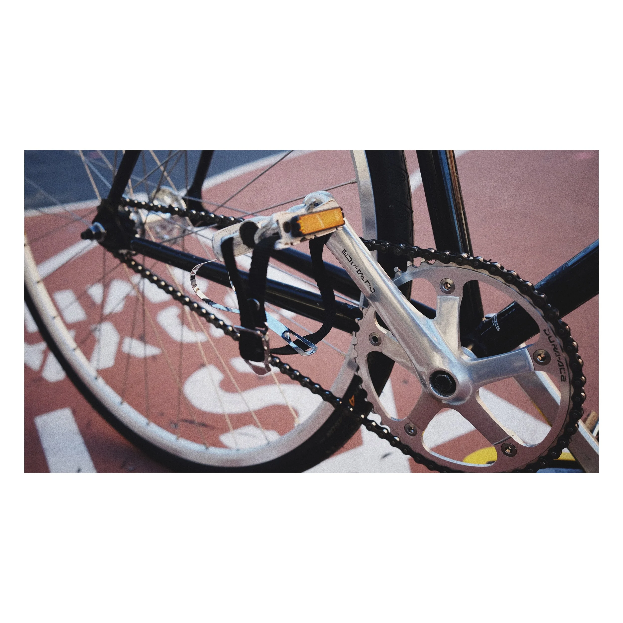 Whitagram-Image.jpeg