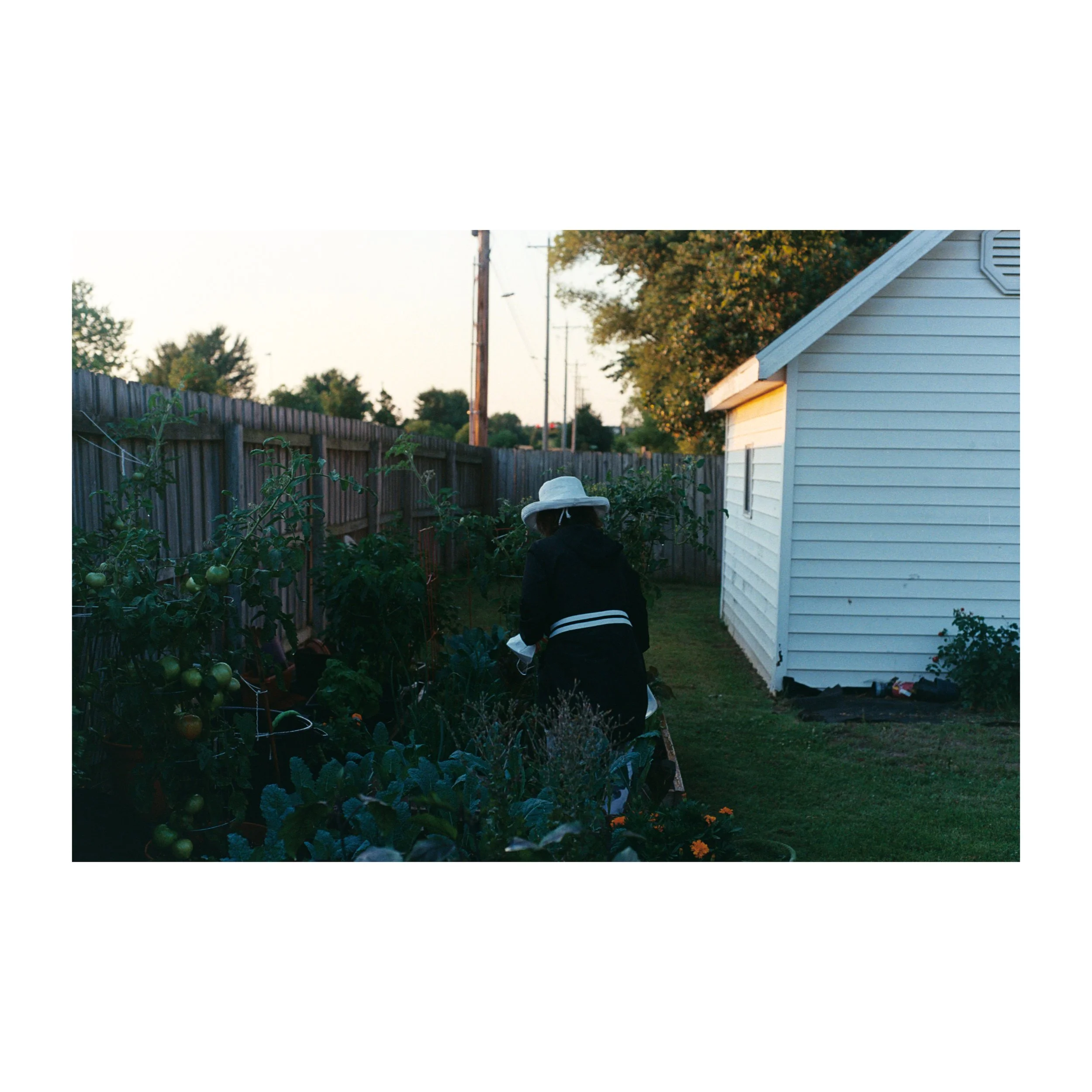Whitagram-Image.jpeg