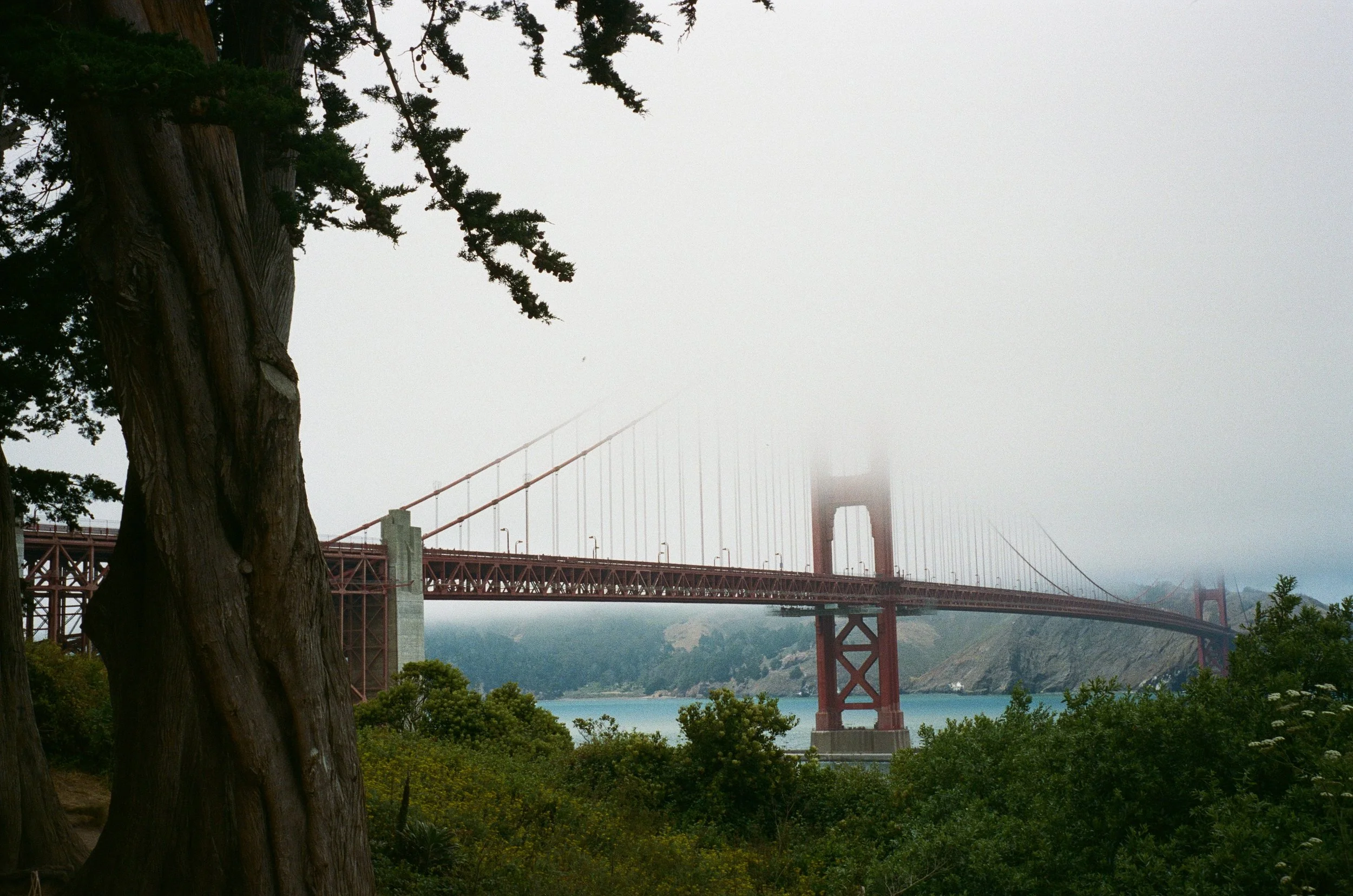 IMG_0229.jpeg