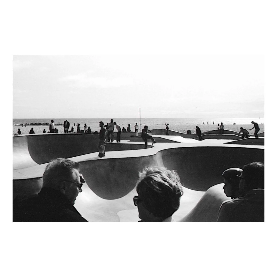 Whitagram-Image.jpeg
