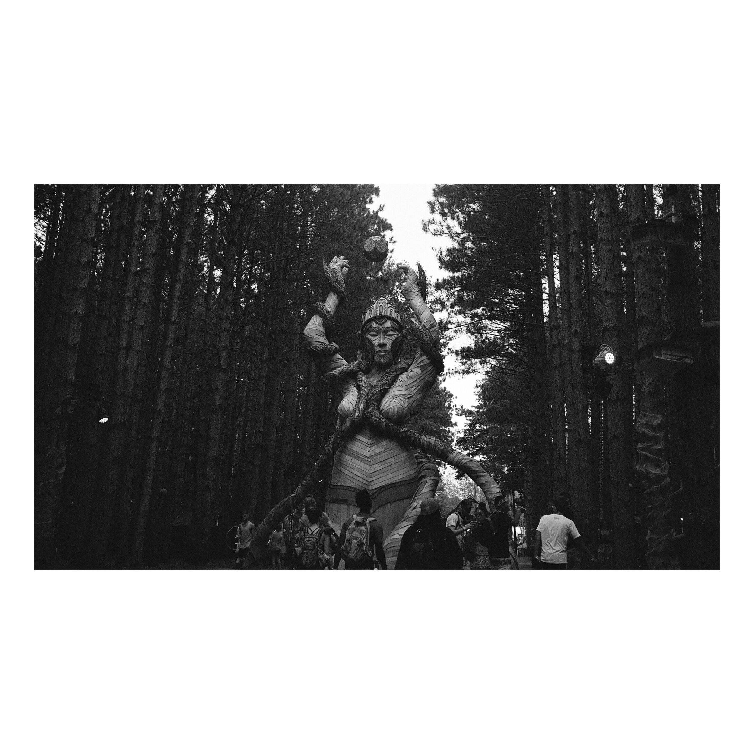 Whitagram-Image.jpeg