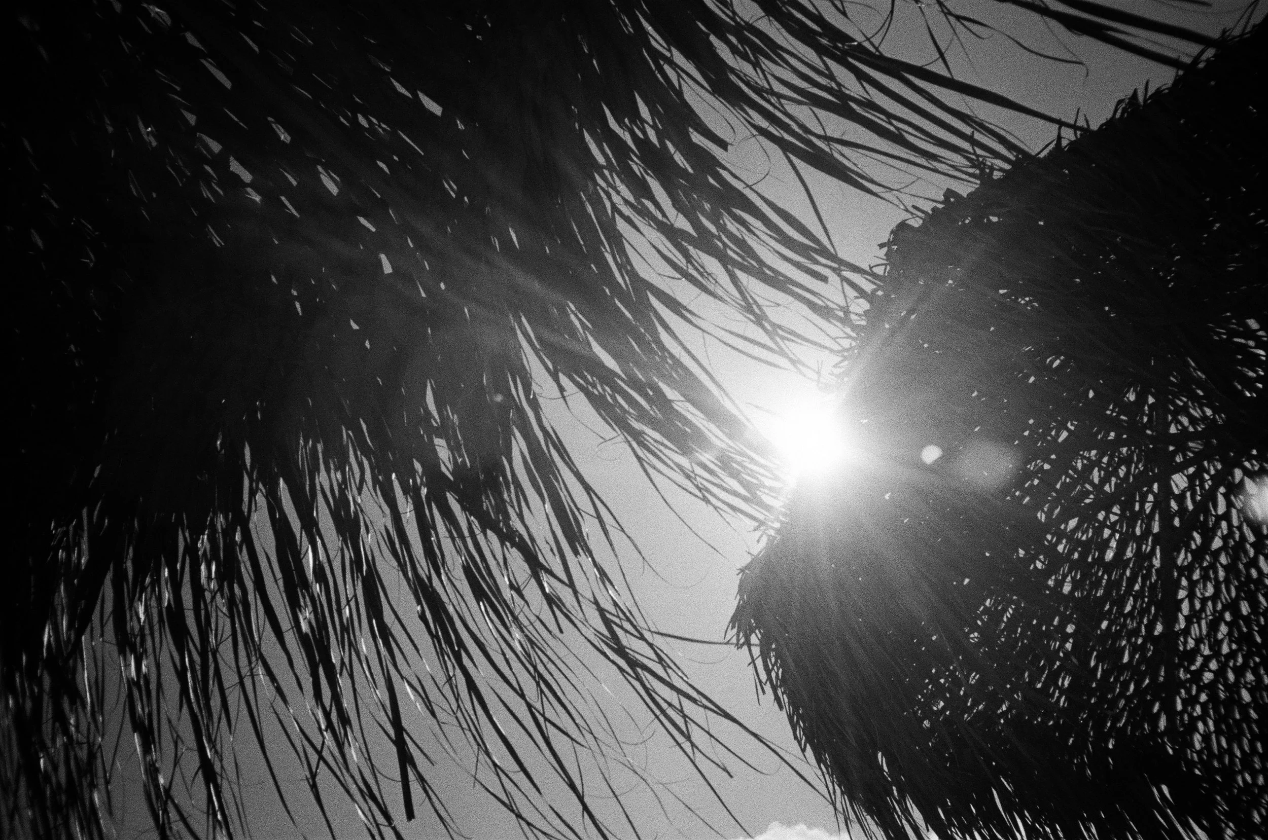IMG_5563.JPG