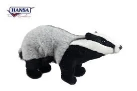 badger123.jpeg