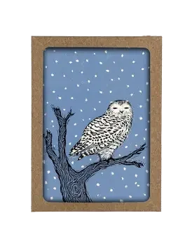 Wisdom Box of 12 Cards
